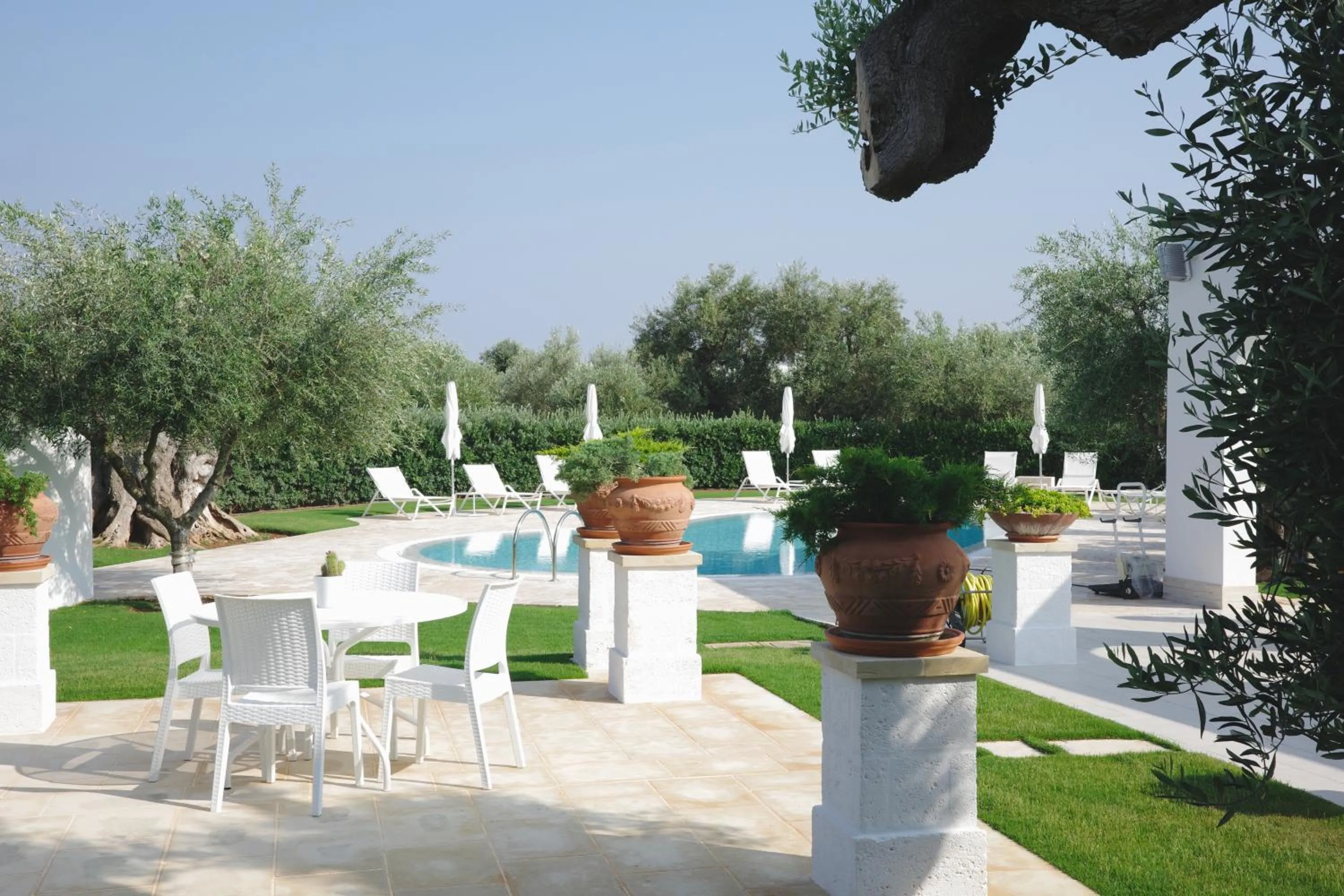 Swimming pool in L'Ulivo Bed and Breakfast