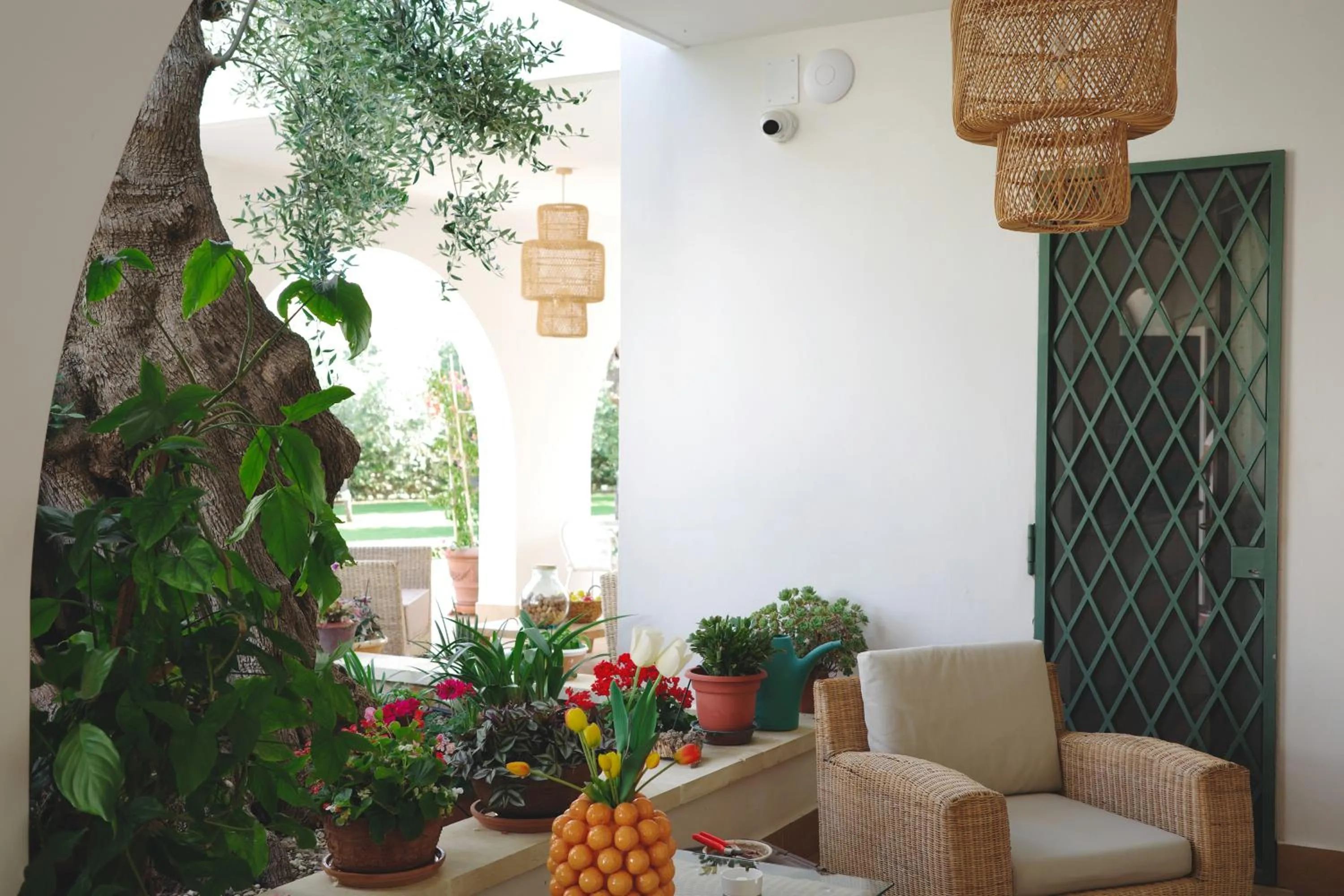 Patio in L'Ulivo Bed and Breakfast