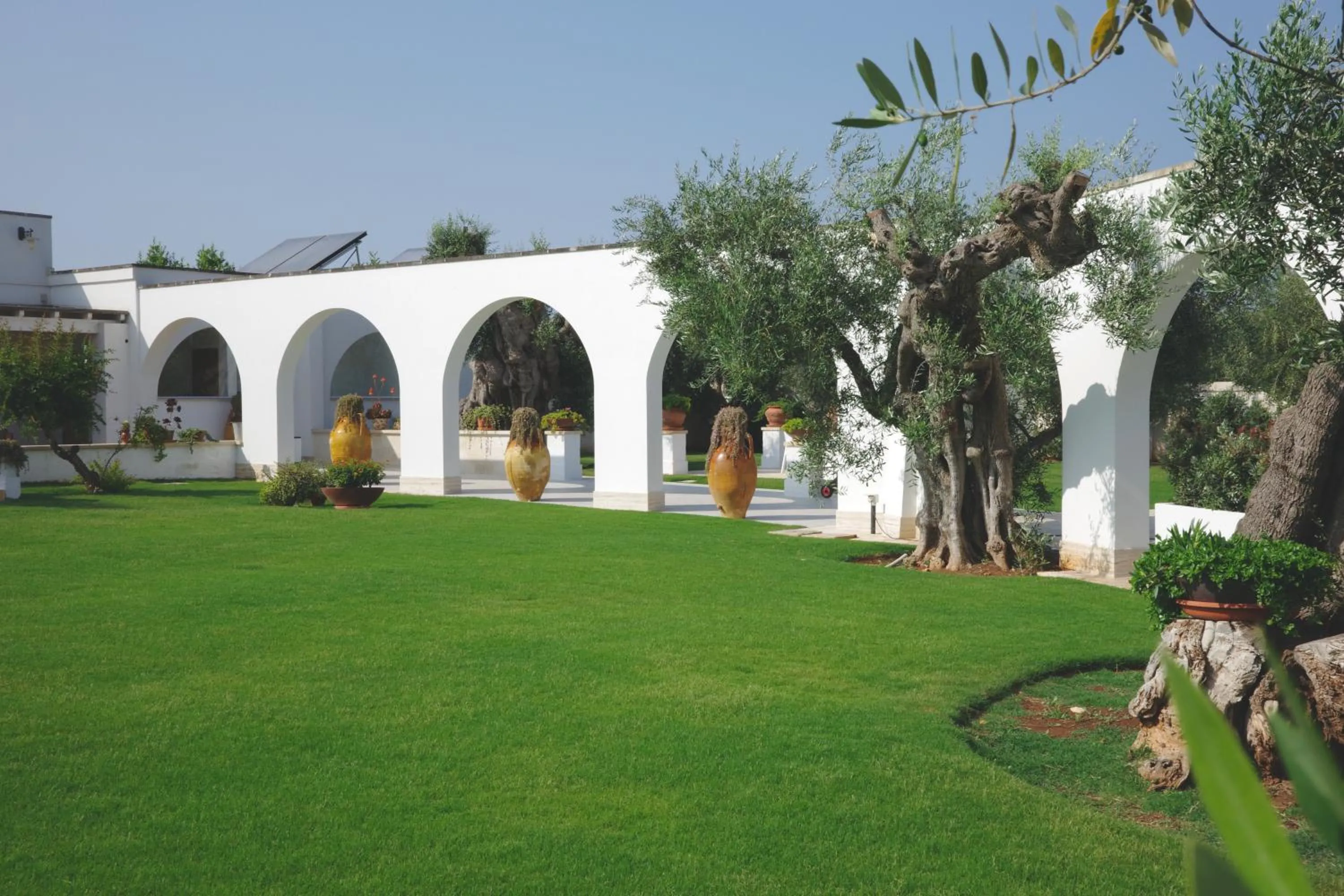 Garden in L'Ulivo Bed and Breakfast