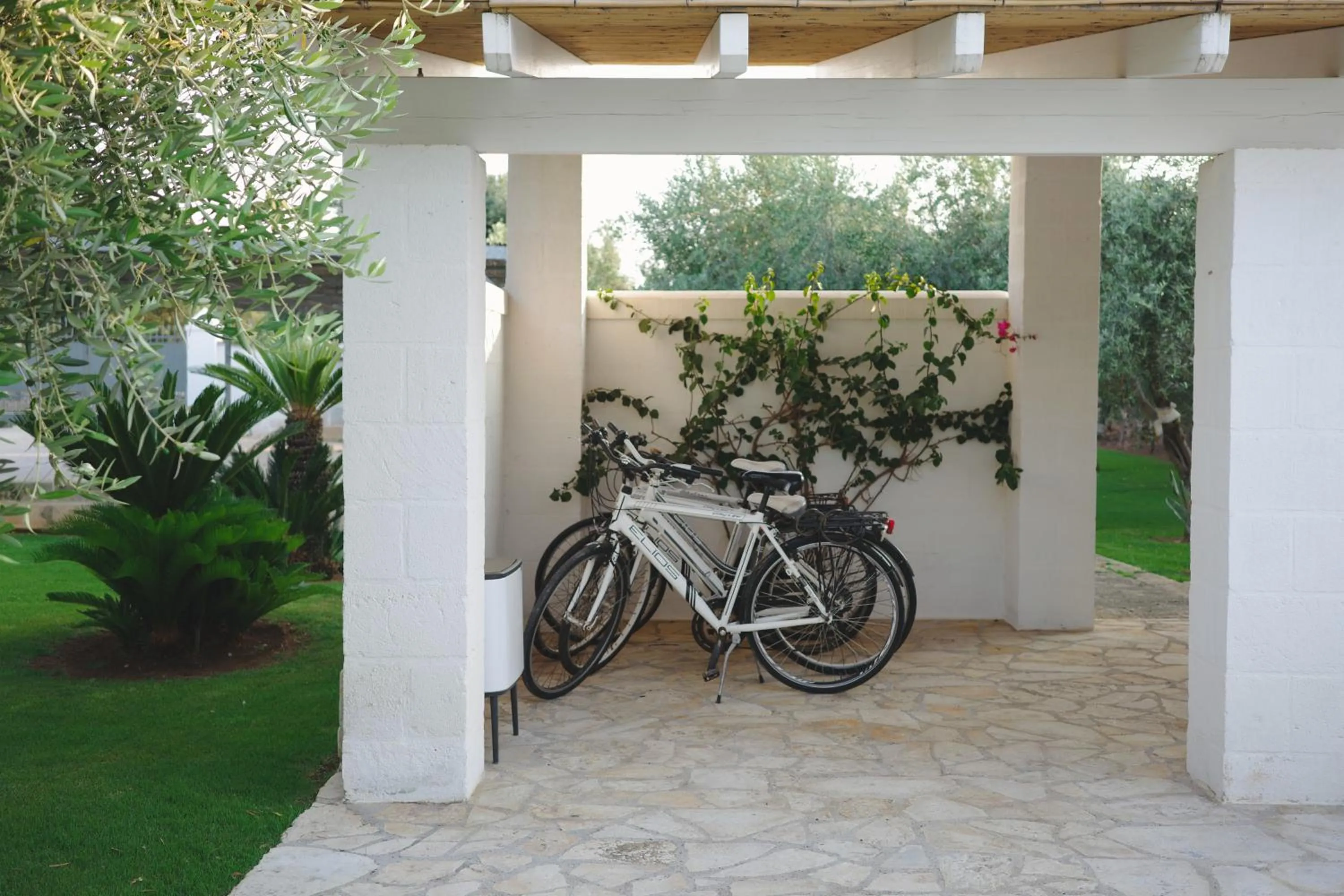 Cycling in L'Ulivo Bed and Breakfast