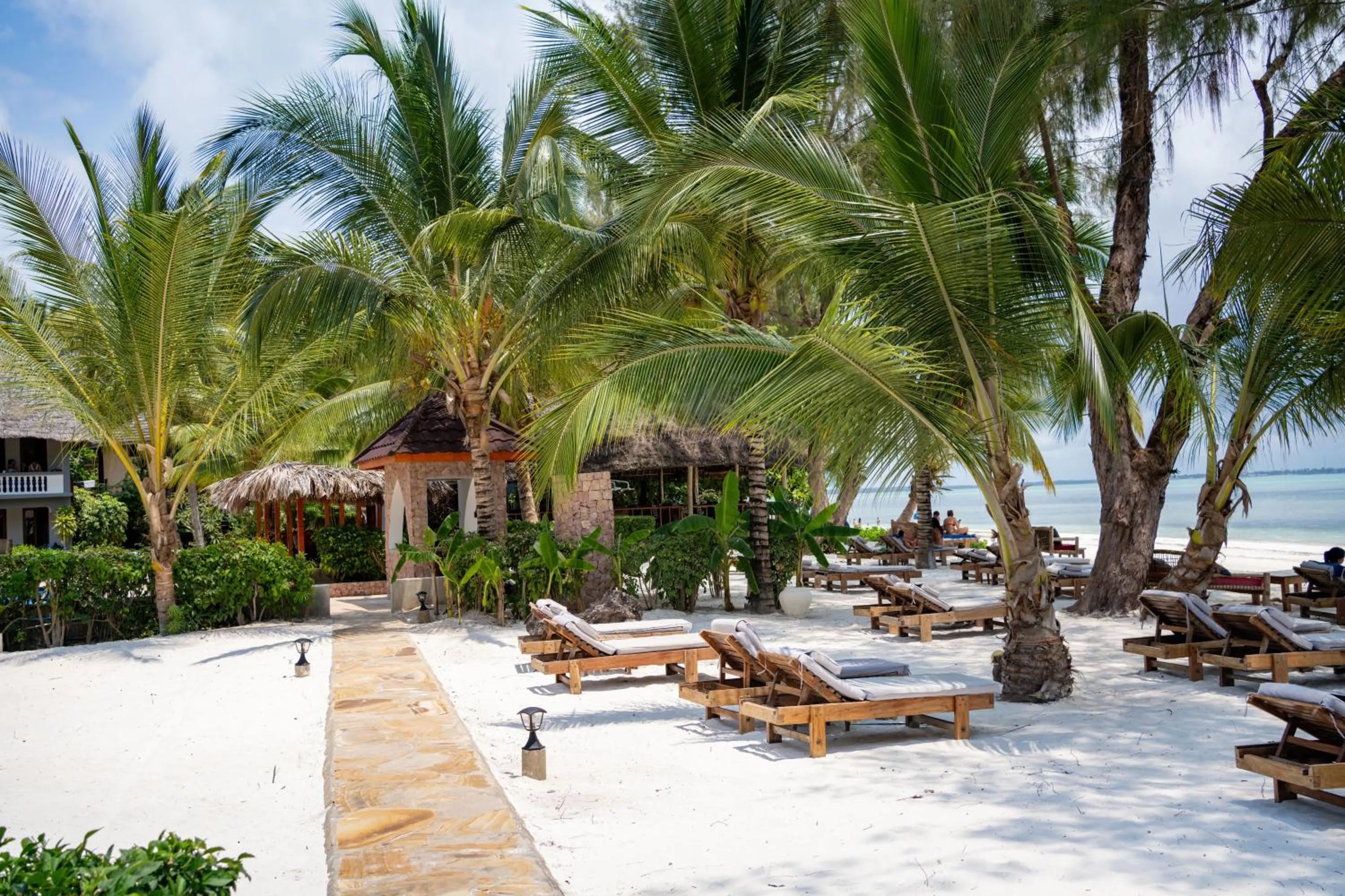 Natural landscape in Michamvi Sunset Bay