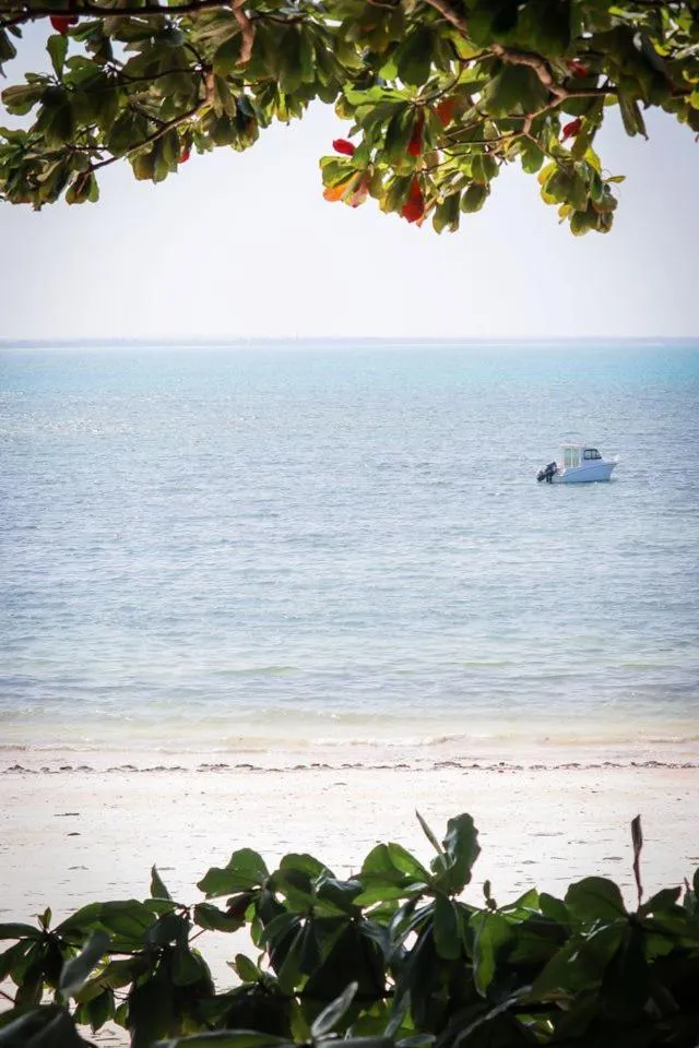 Sea view in Michamvi Sunset Bay