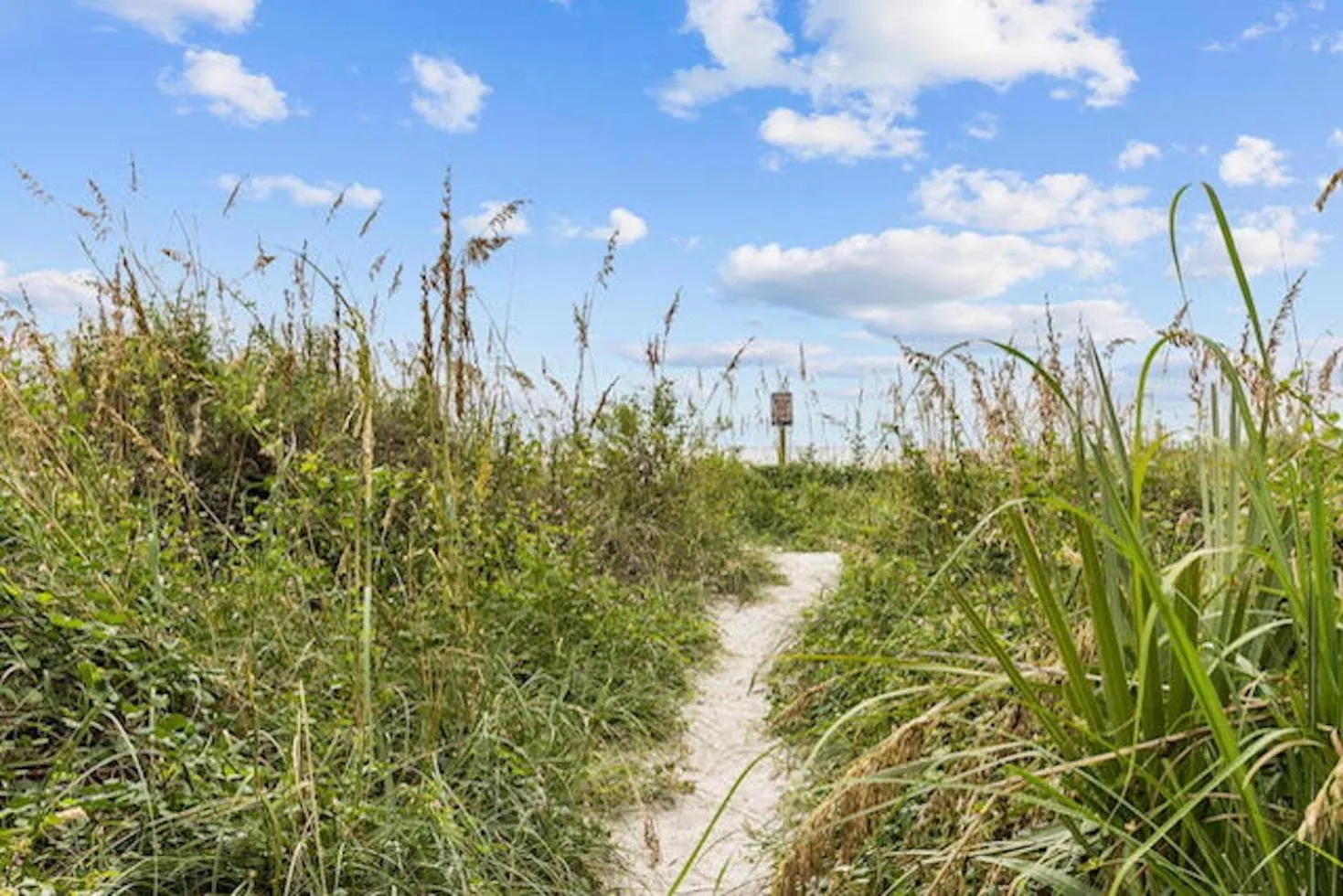 Beach in Oasis Hotel