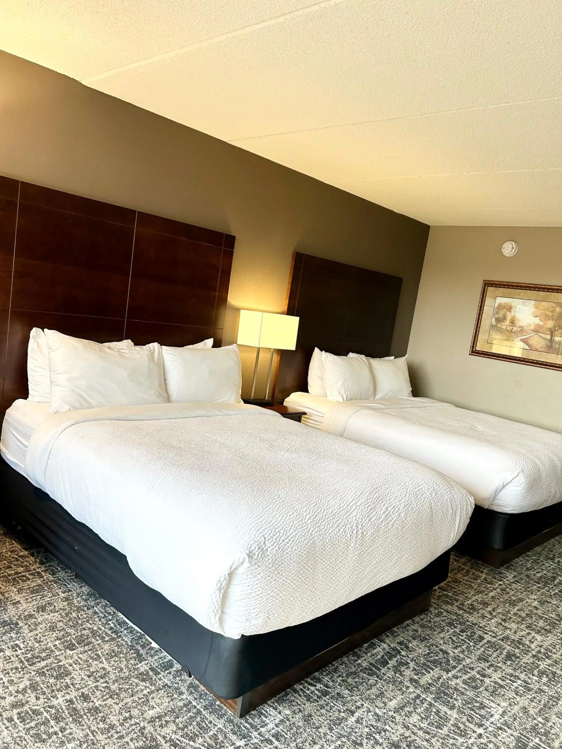 Bed in Best Western Plus Kelly Inn