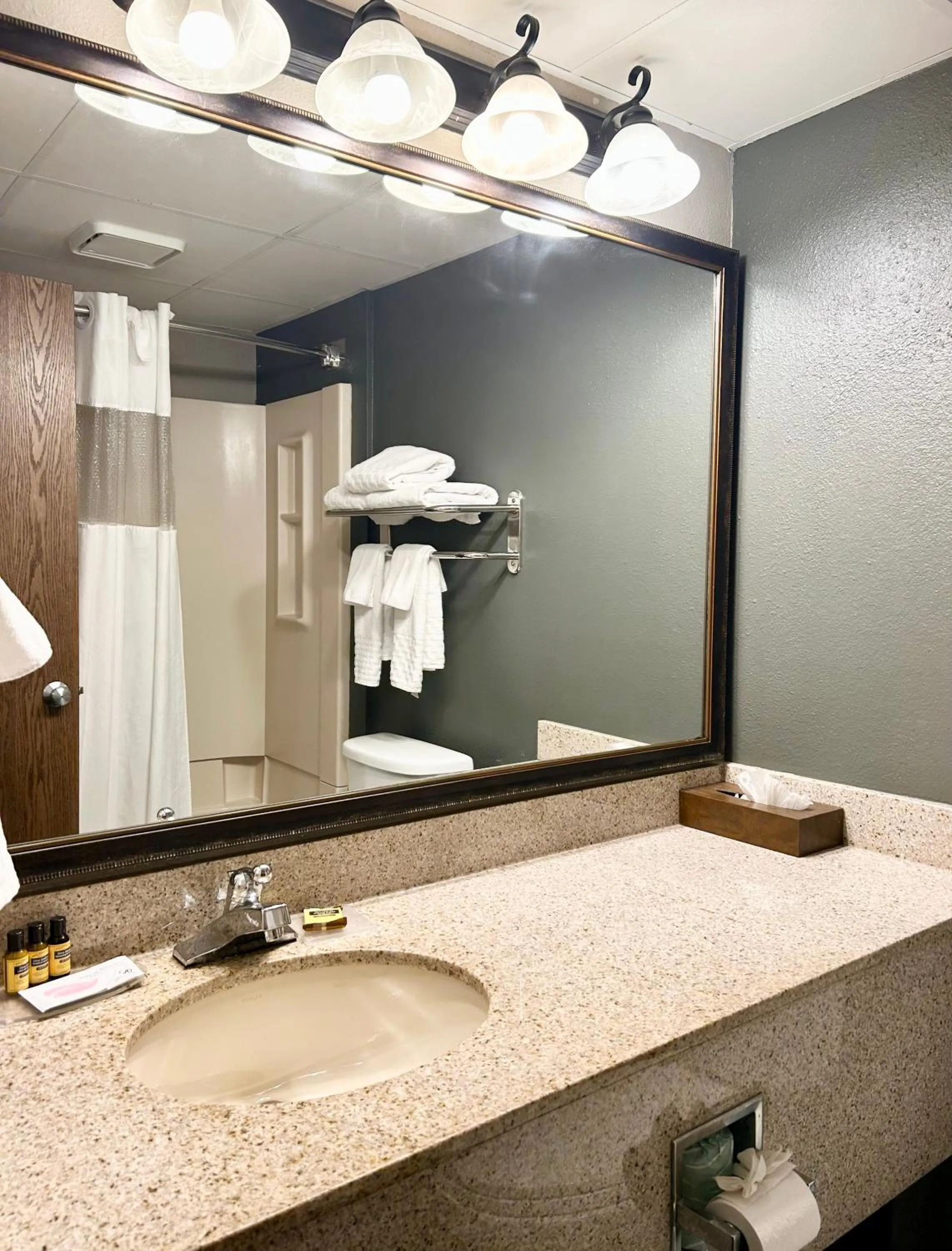 Bathroom in Best Western Plus Kelly Inn