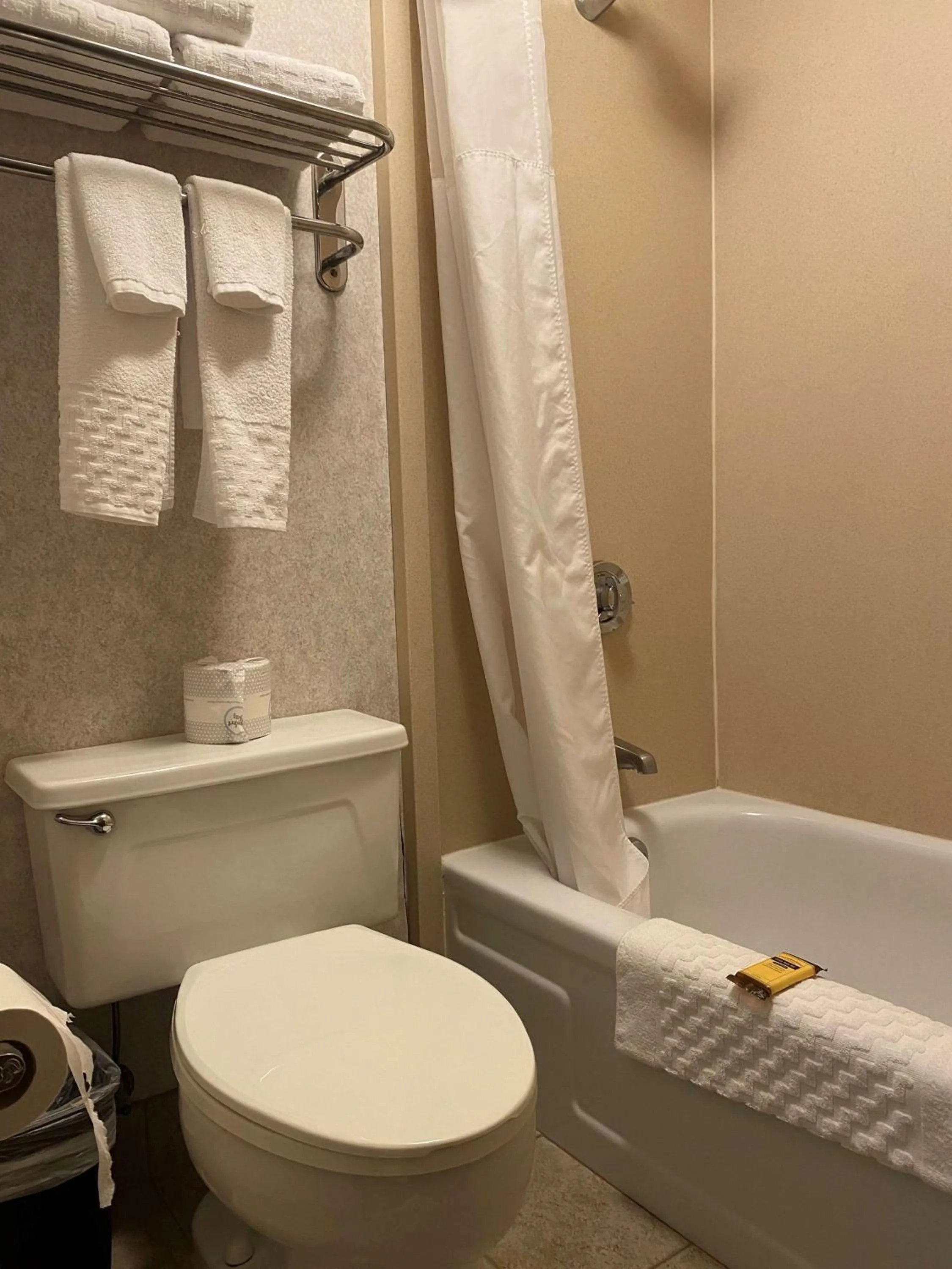 Bathroom in Best Western Plus Kelly Inn