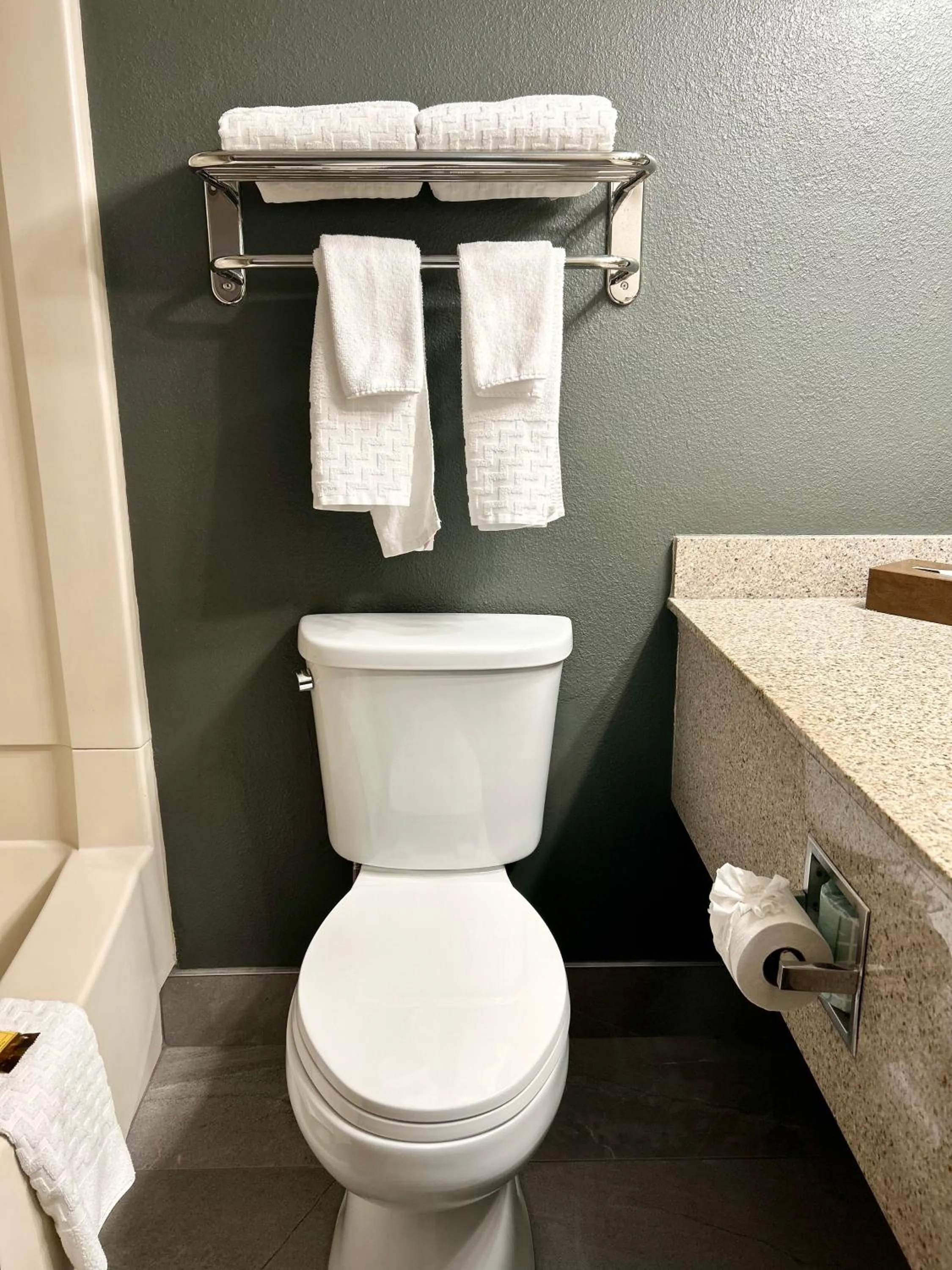 Toilet in Best Western Plus Kelly Inn