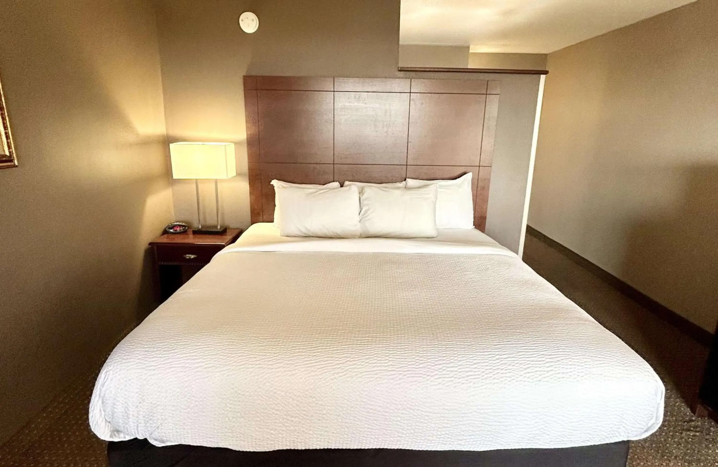 King Room - Non-Smoking in Best Western Plus Kelly Inn King Room - Non-Smoking in Best Western Plus Kelly Inn