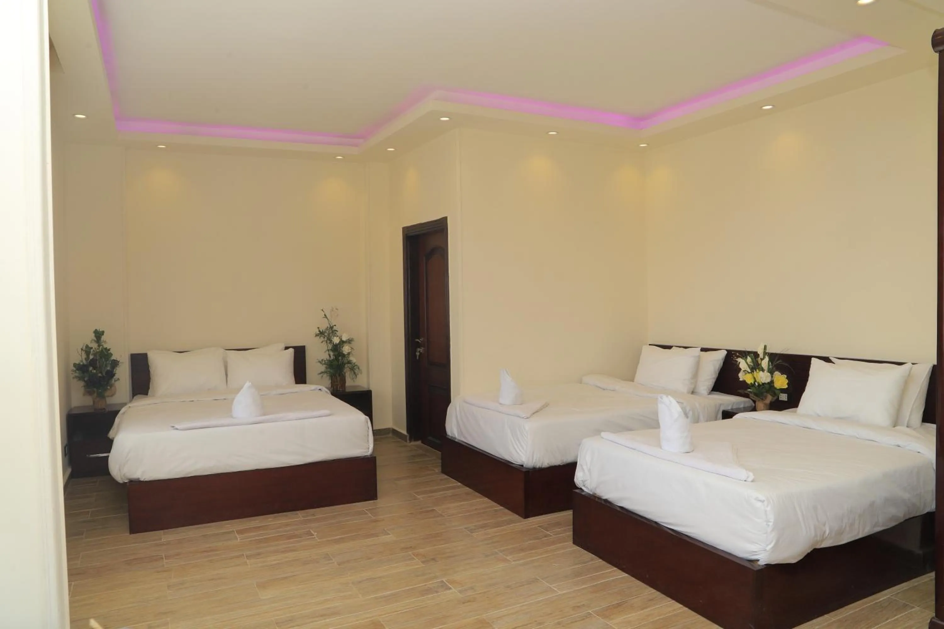 Bed in Grand Museum Pyramids View Hotel