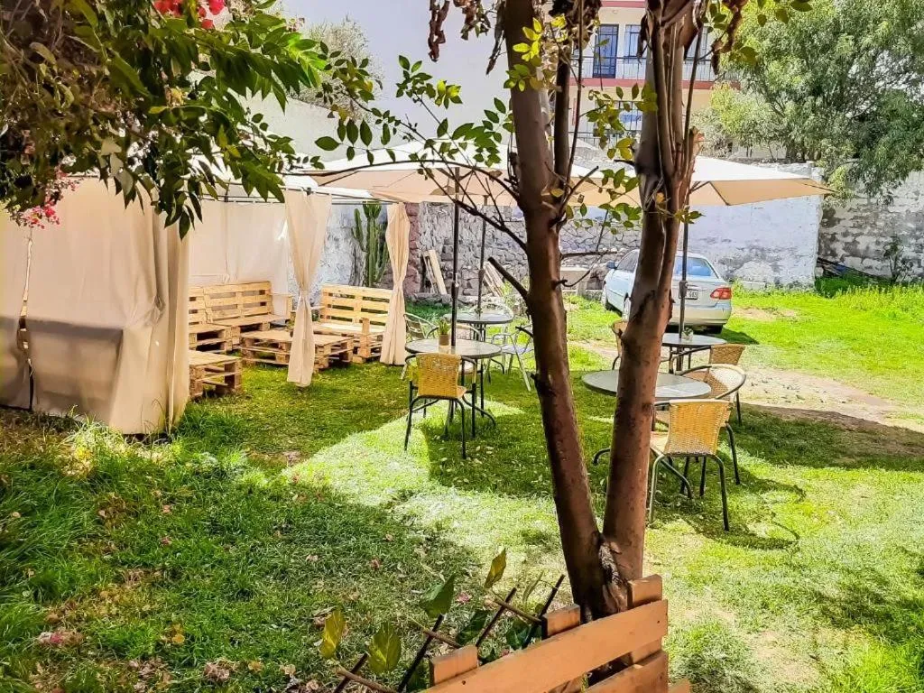 Garden in Hotel Juan de la Torre