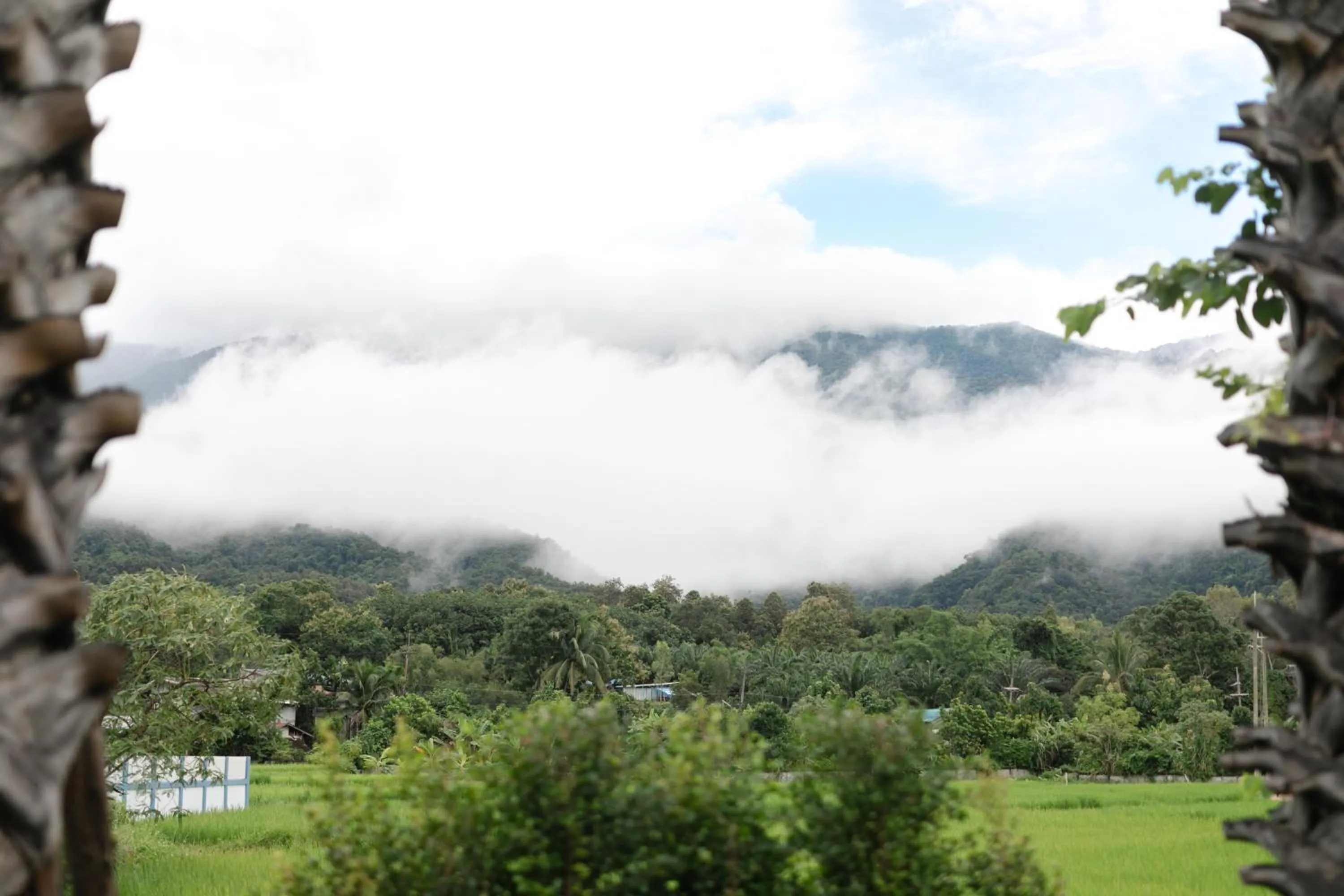 Mountain view in Saksila Resort