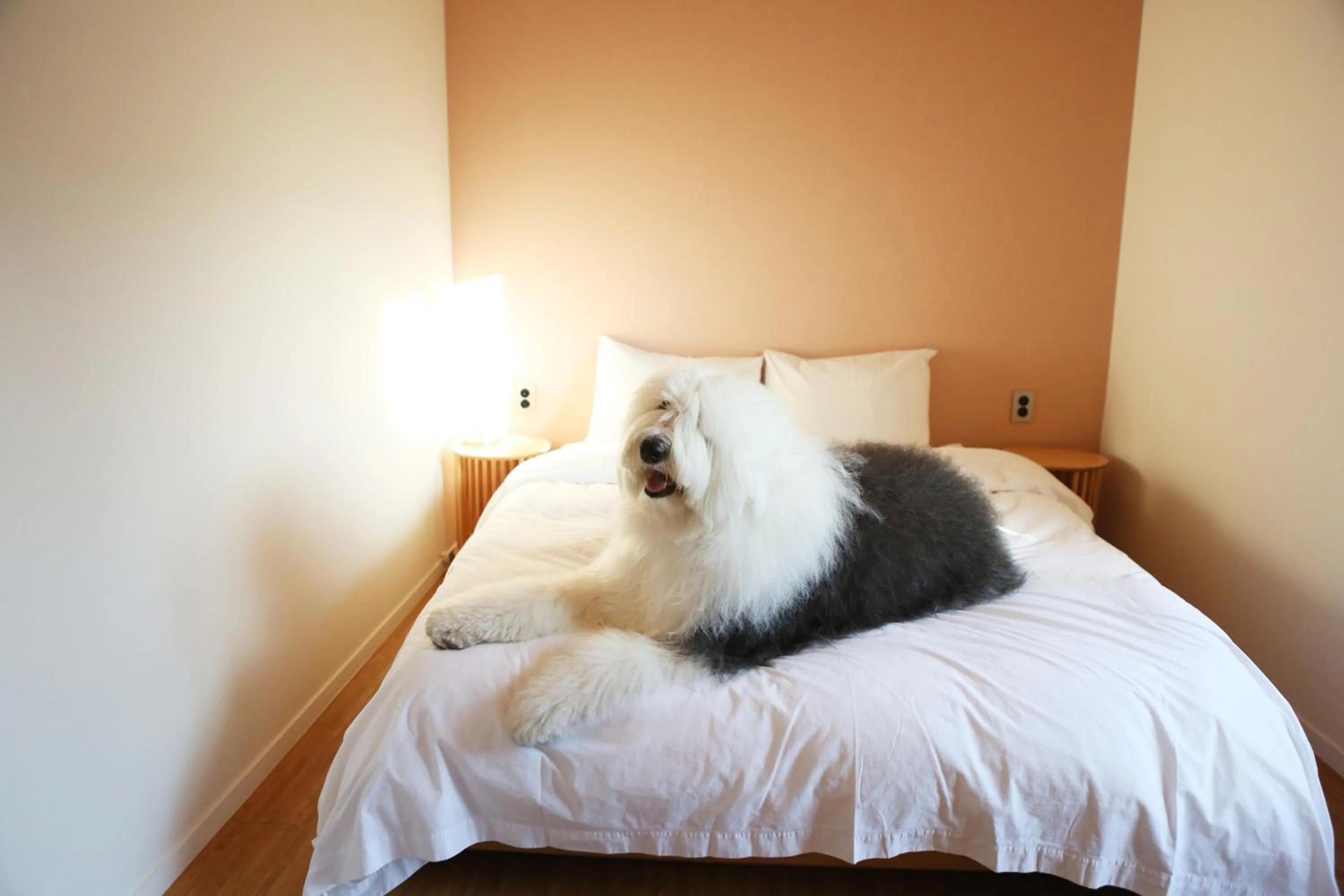 Bed in Hotelarrive Taean Tiann HanokBeachResort