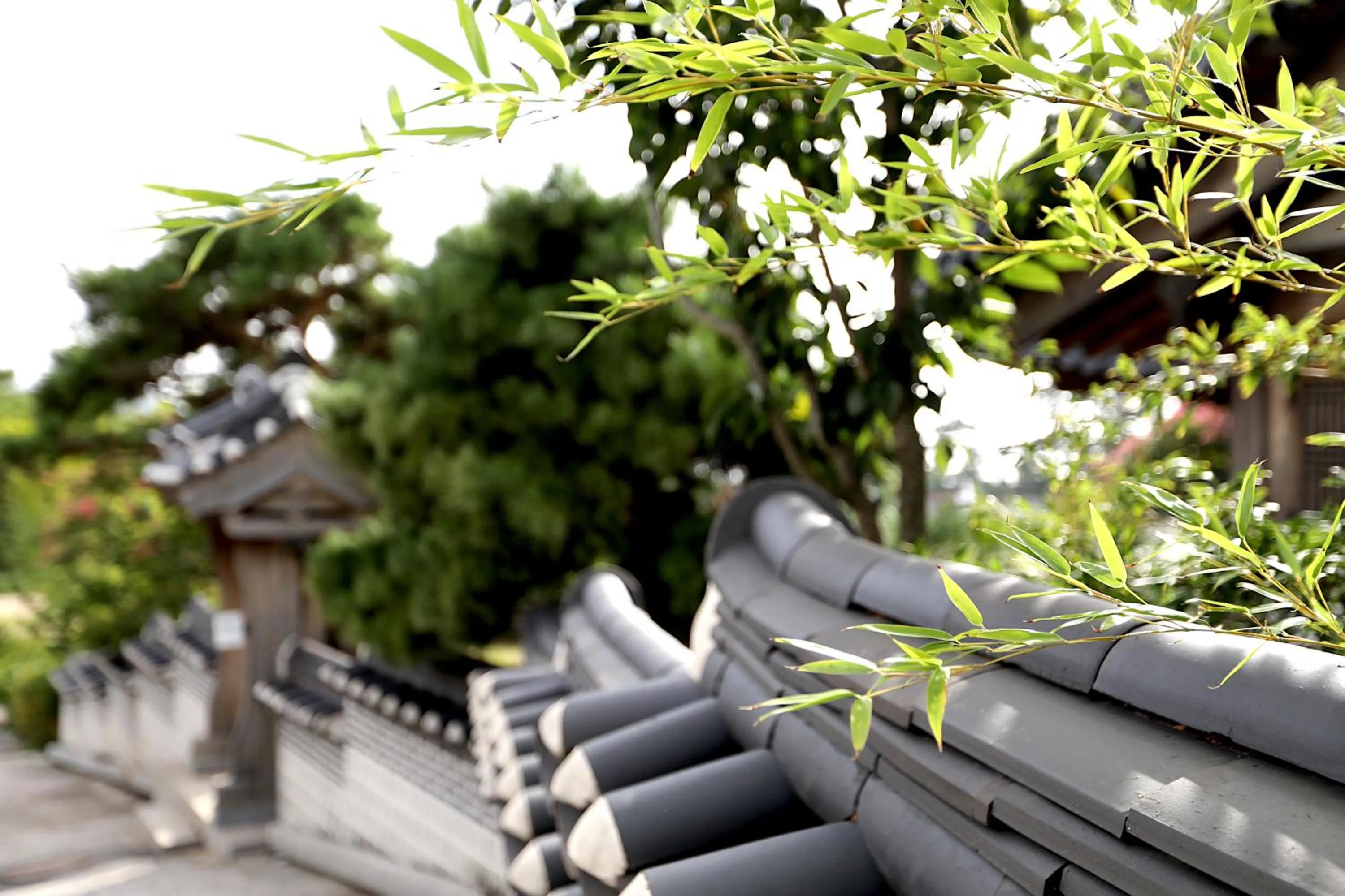 Hotelarrive Taean Tiann HanokBeachResort