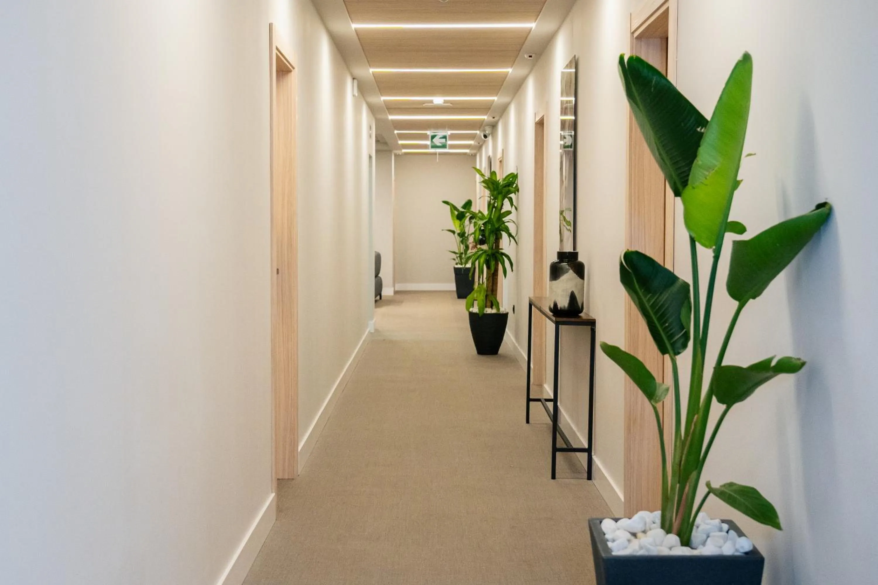 Property building in Dorm4You Arena 2