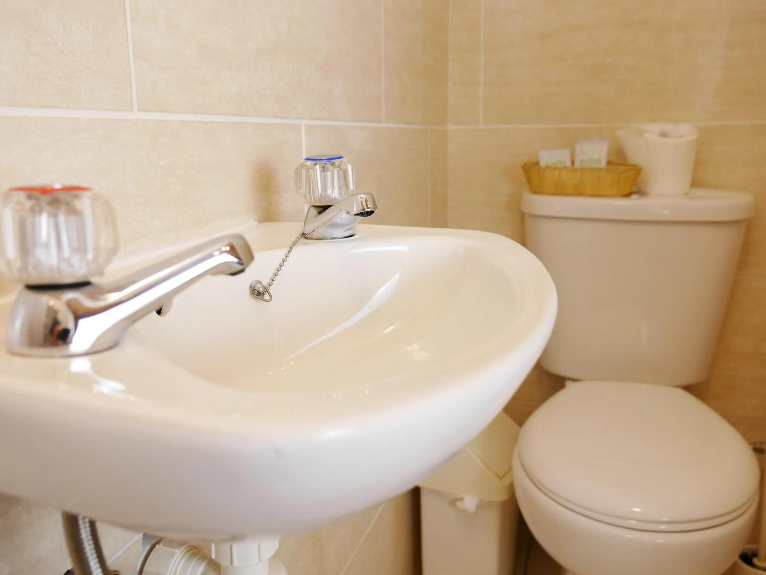 Toilet in The Beechwood