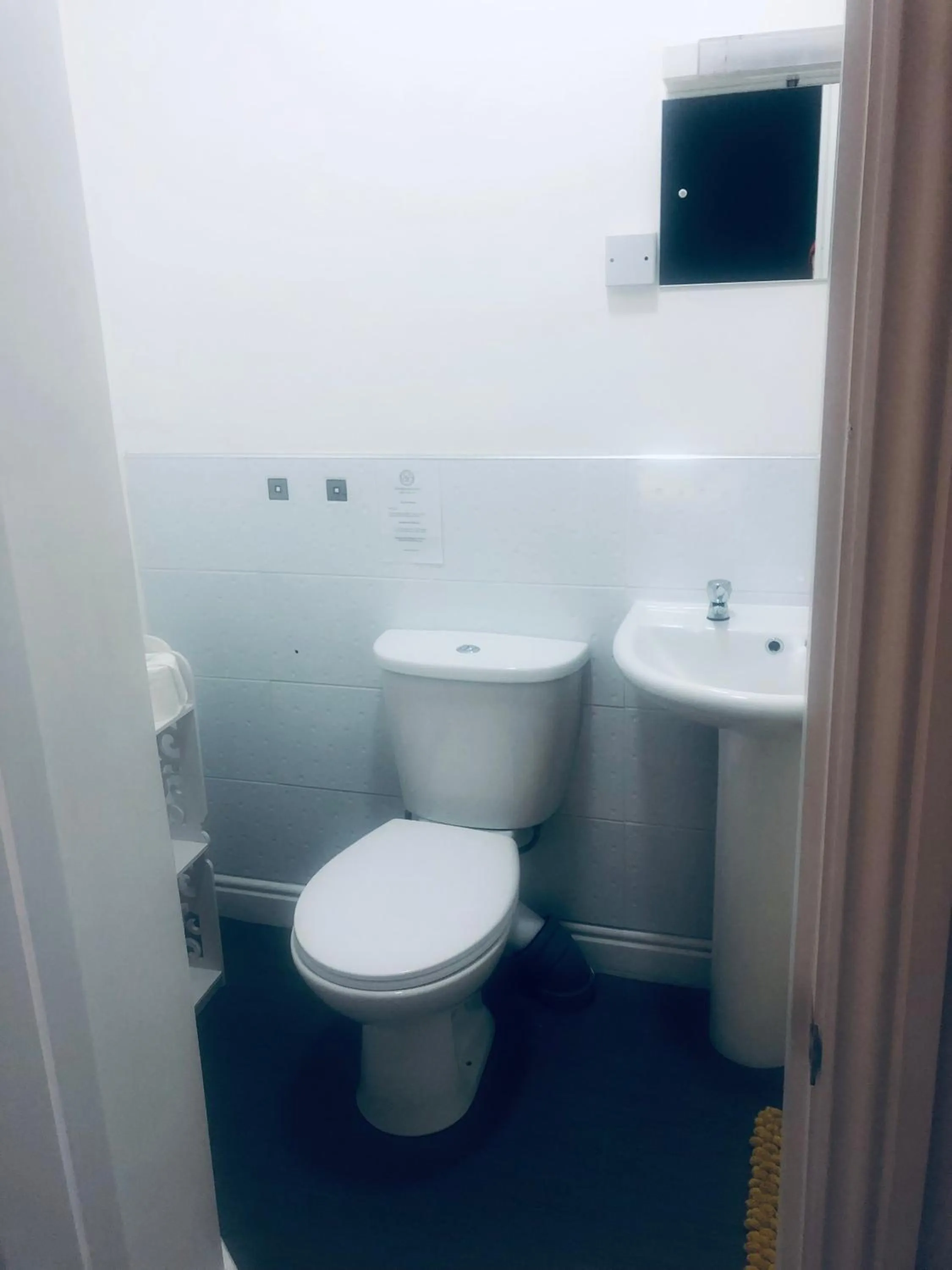 Toilet in The Beechwood