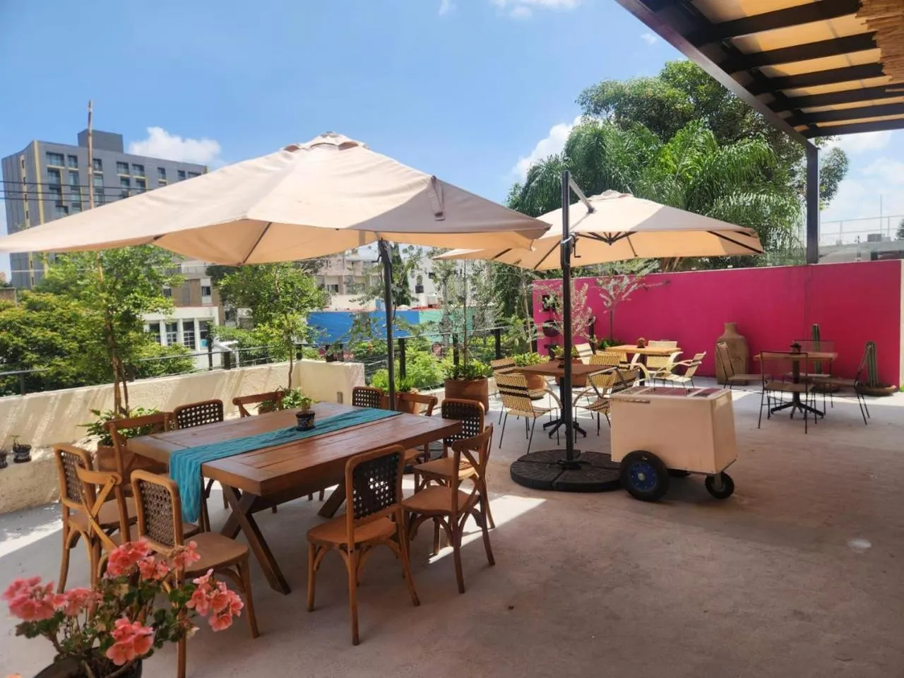 Garden in Hotel Consulado