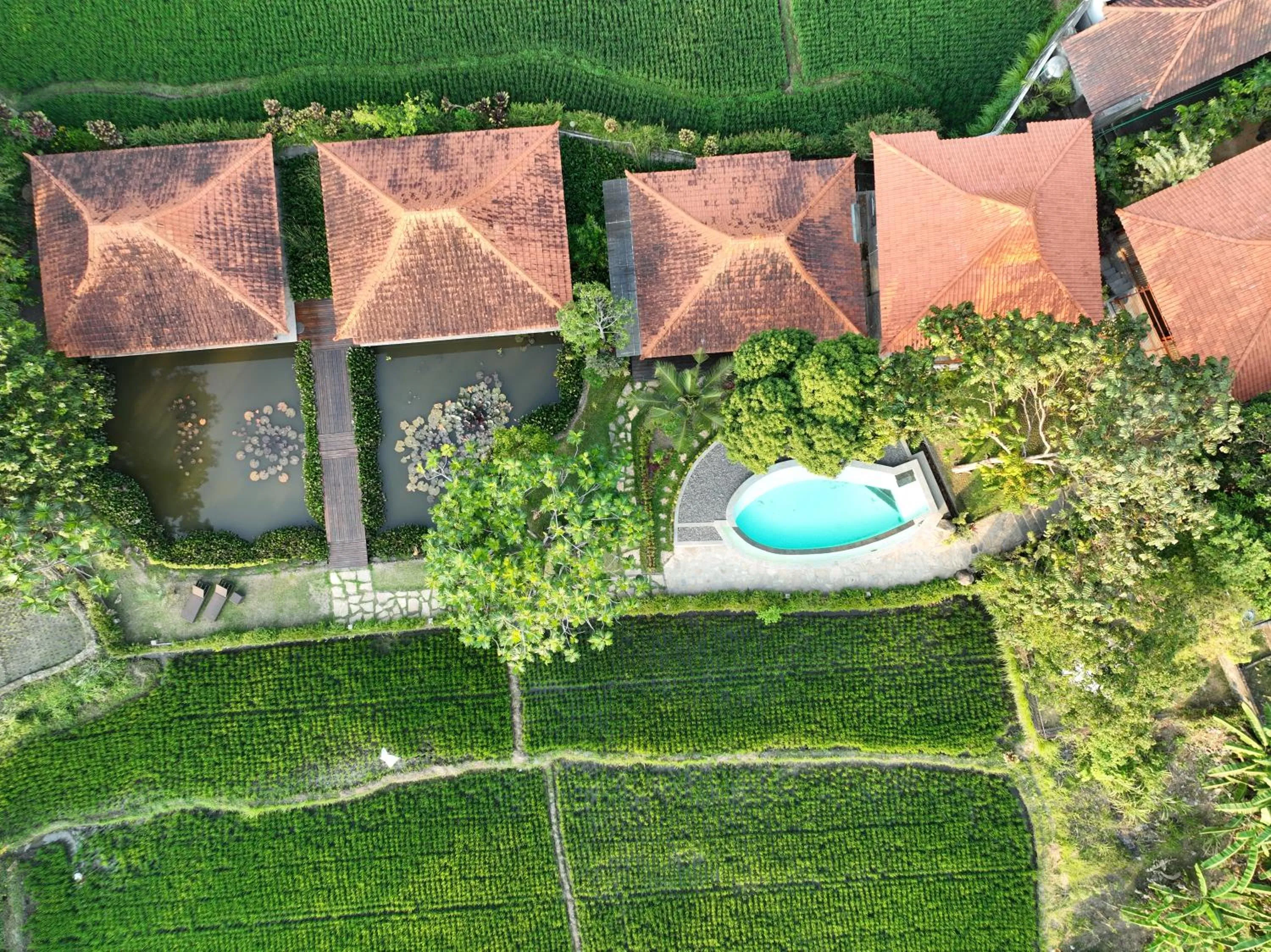 Spring in GRIYA KCB VILLA