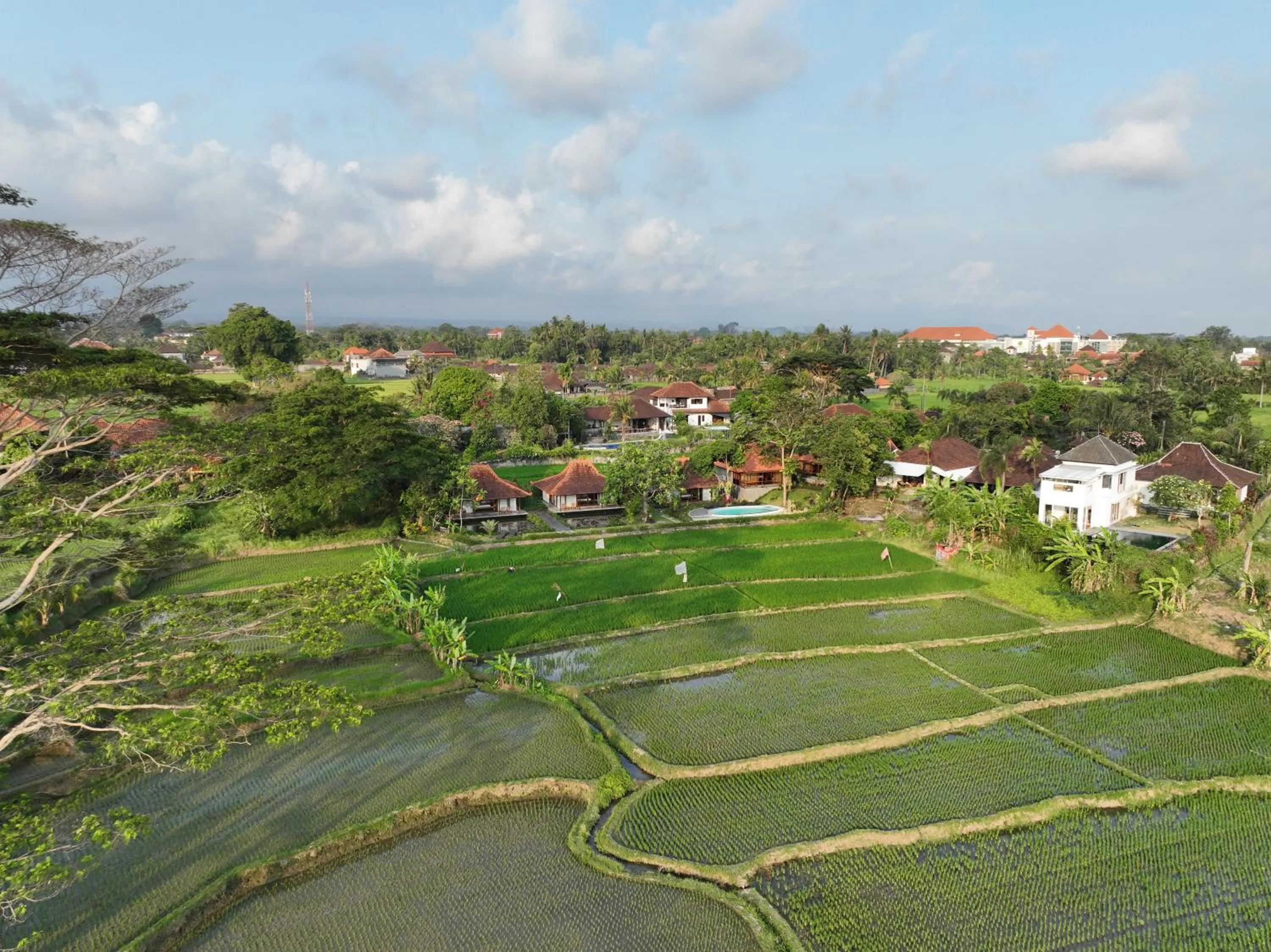 Spring in GRIYA KCB VILLA
