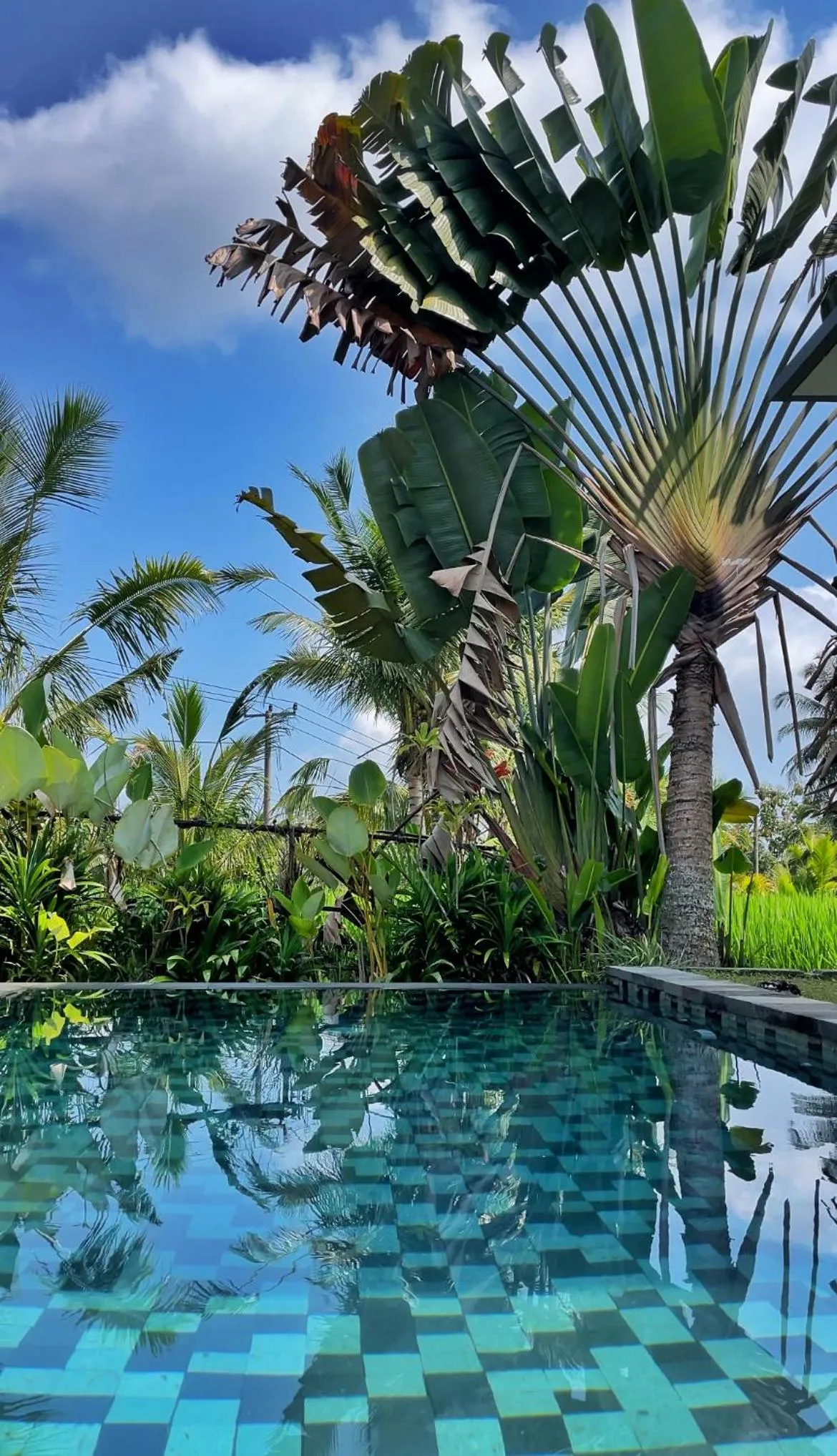 Swimming pool in Serendipity - Villa Kemuning