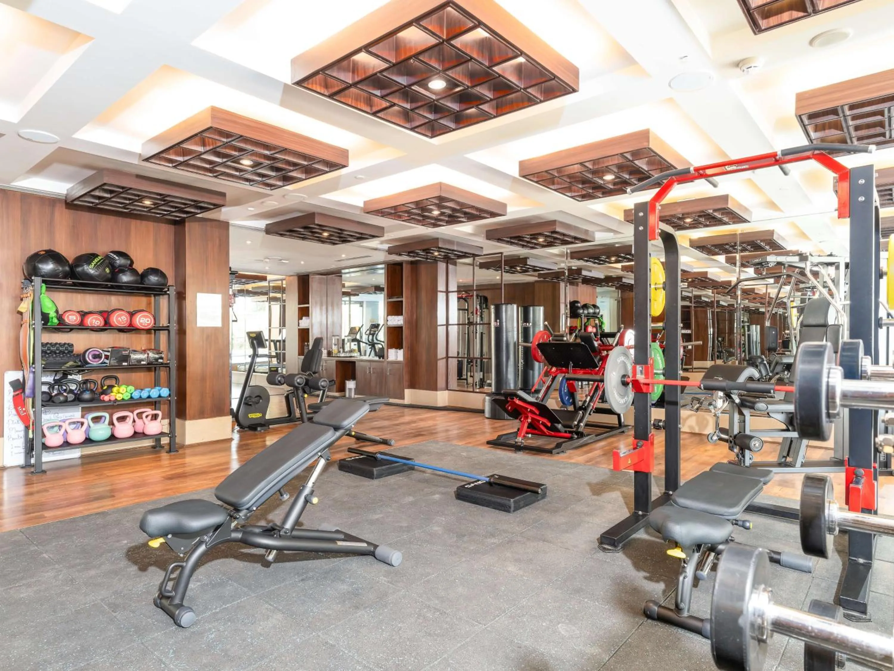 Fitness centre/facilities in Radisson Collection Hotel & Spa, Riverfront Srinagar