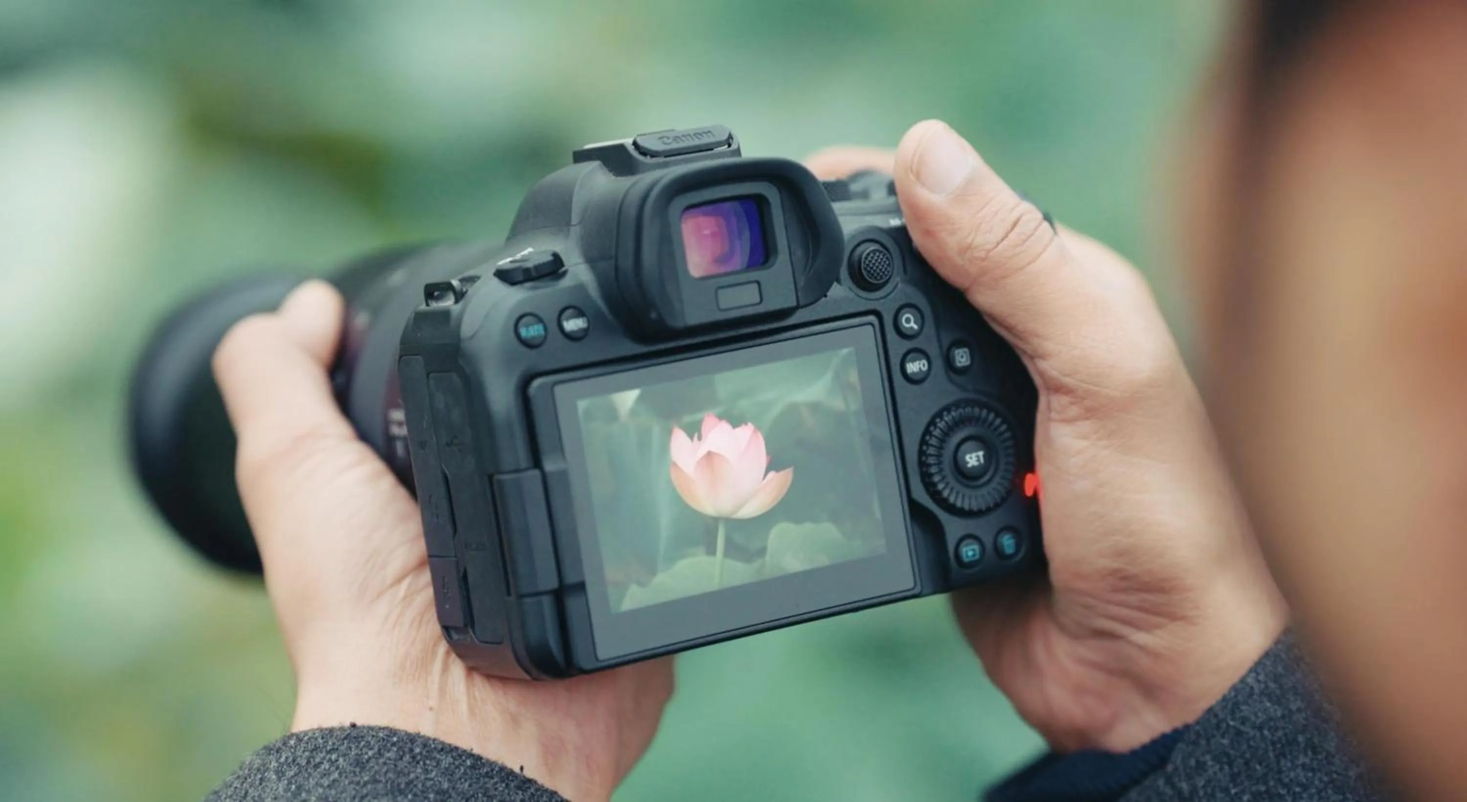 Other in Radisson Collection Hotel & Spa, Riverfront Srinagar