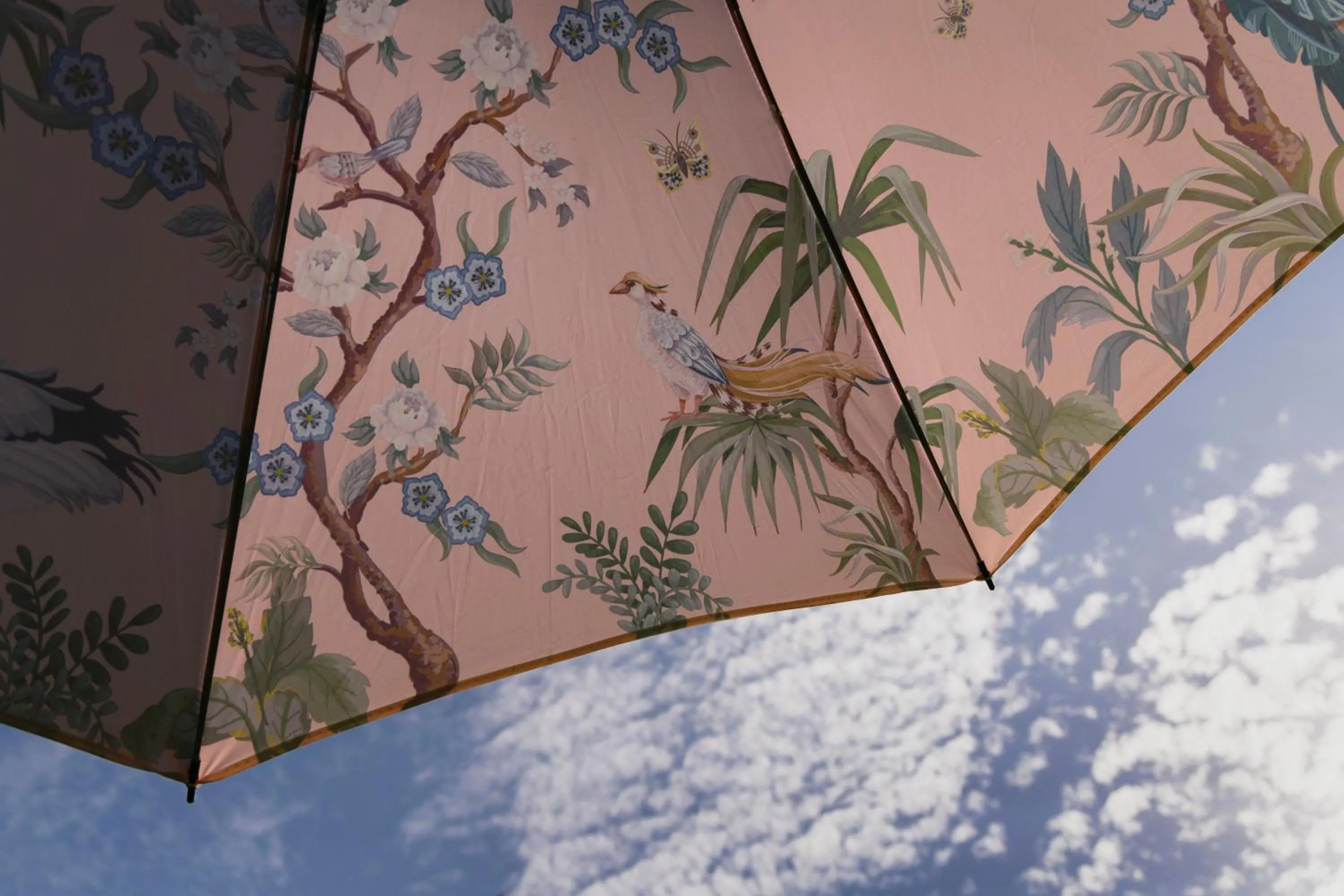 Day in Margot Sololaki