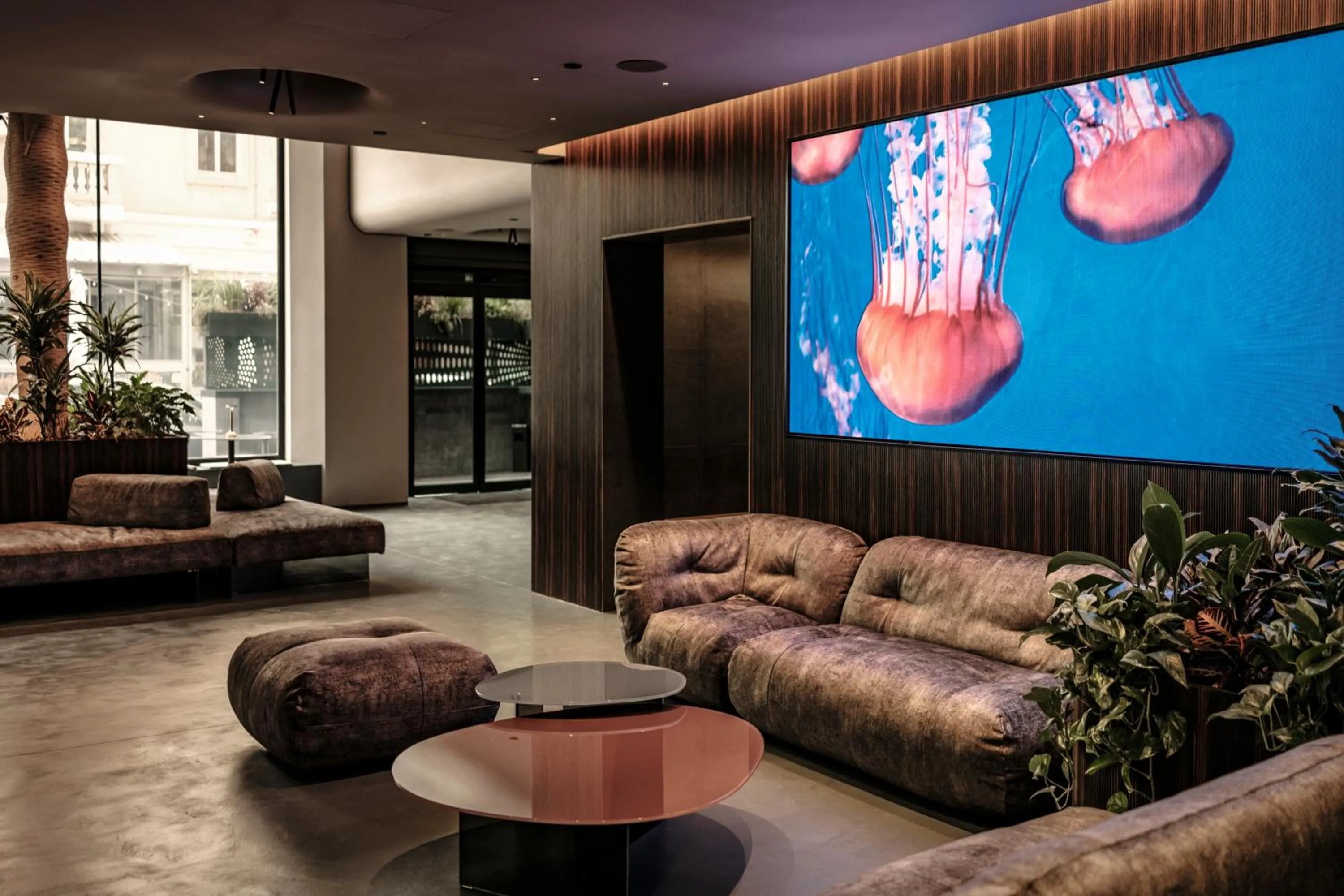 TV and multimedia in Fitch Hotel