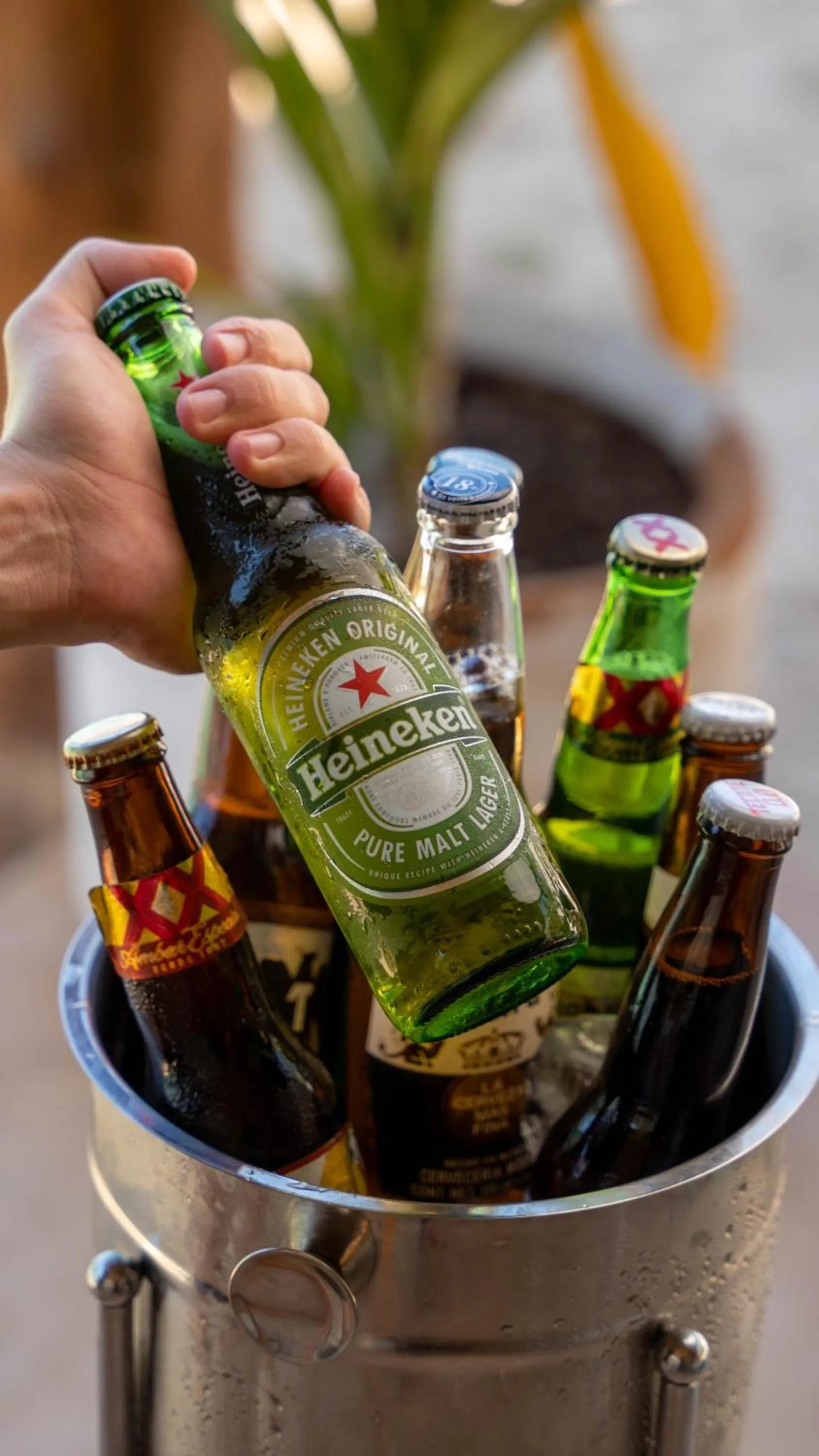 Food and drinks in Totem Beach Club - Celestun