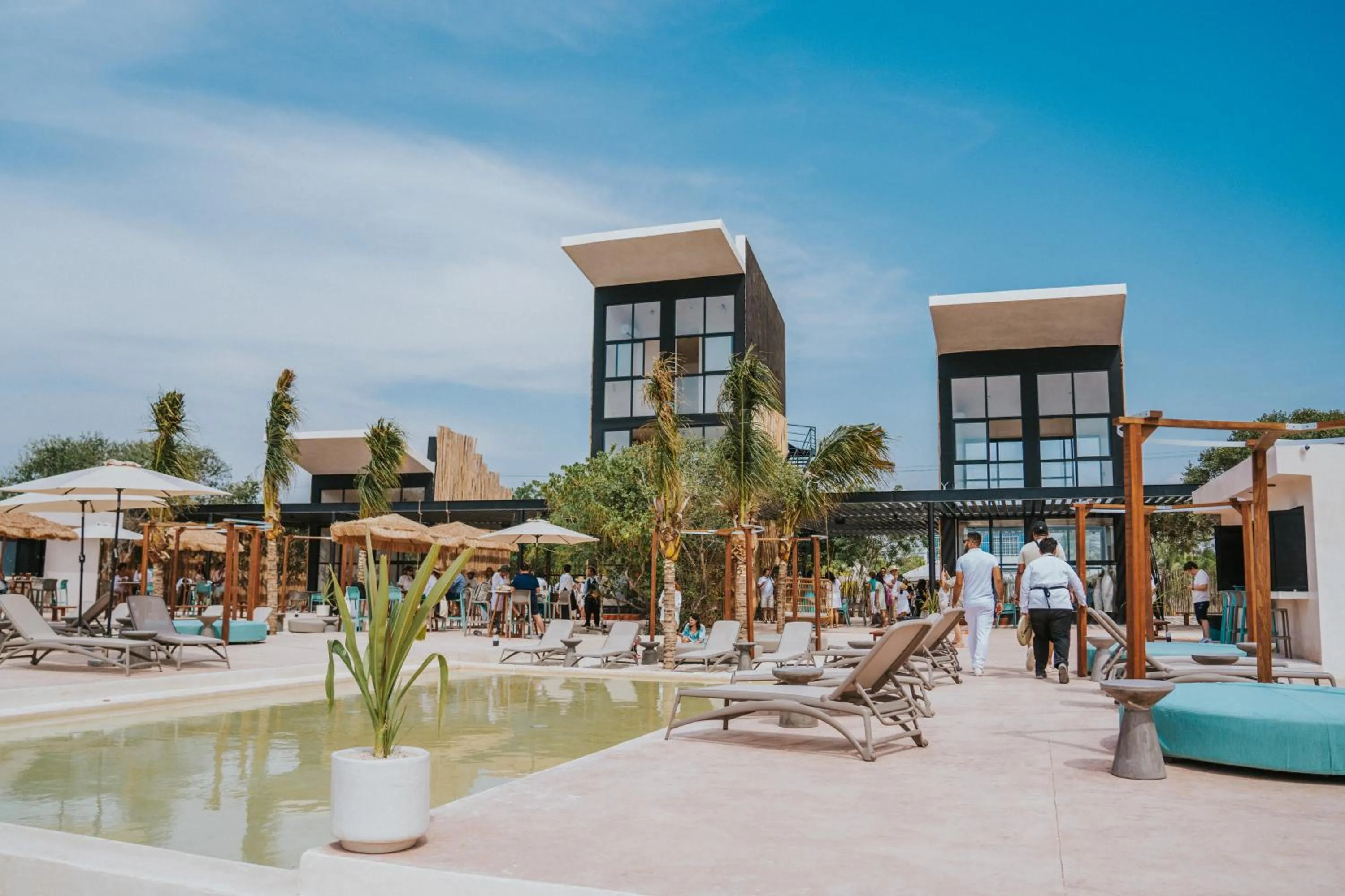 Spring in Totem Beach Club - Celestun