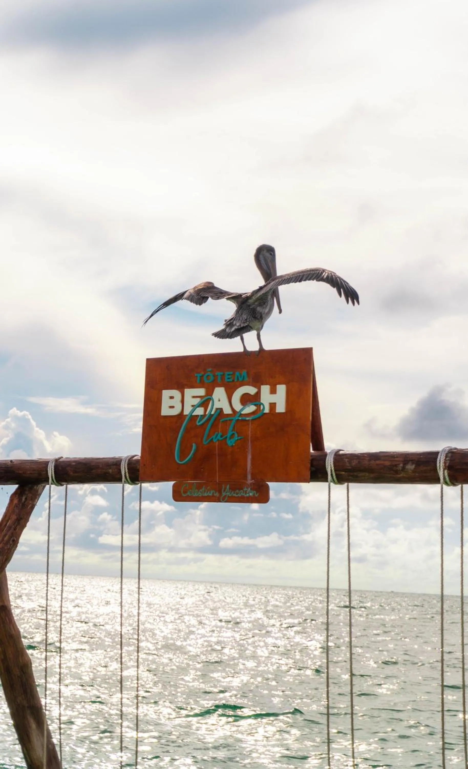 Day in Totem Beach Club - Celestun