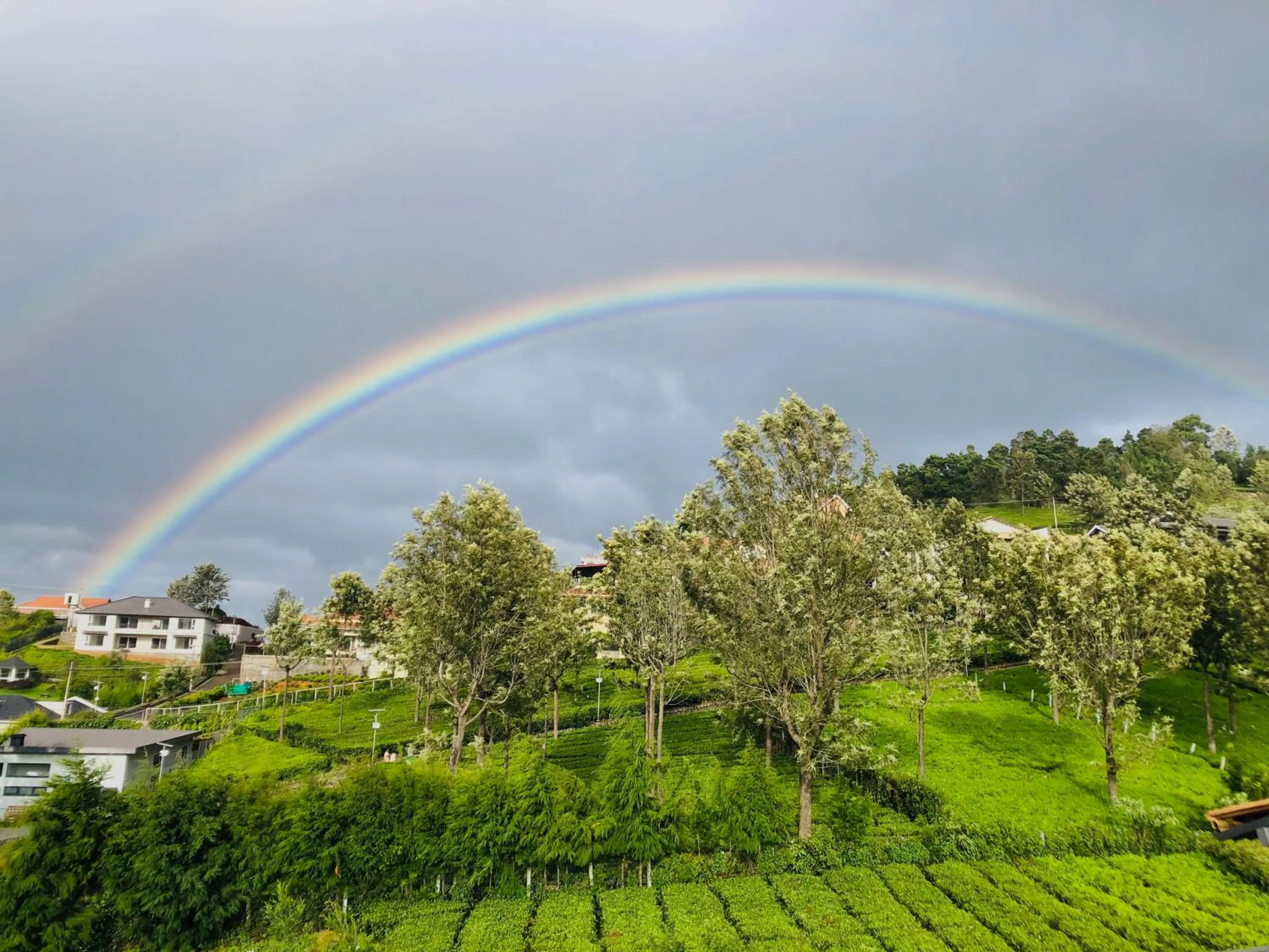 View (from property/room) in Moonlight Chillers By LexStays