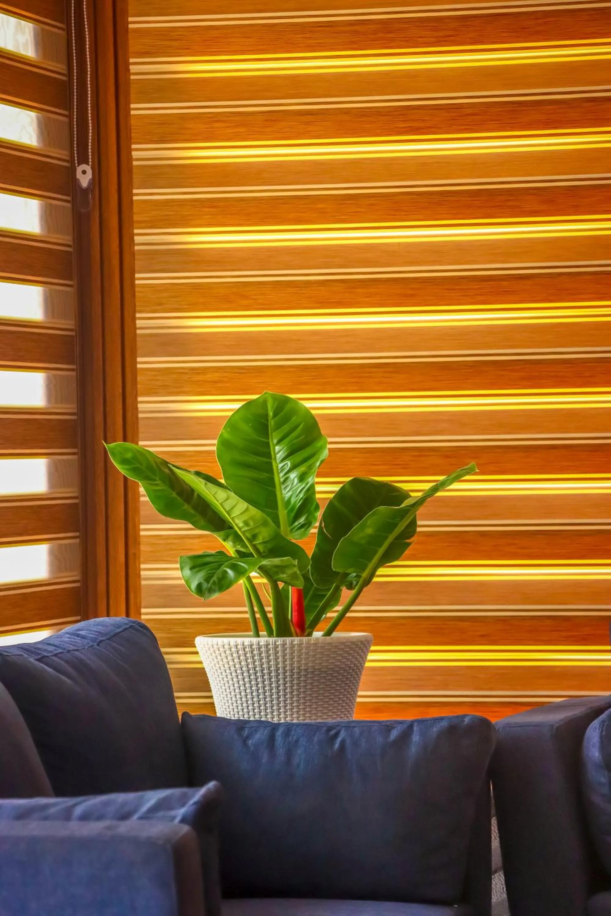 Lobby or reception in Winter Note Resorts