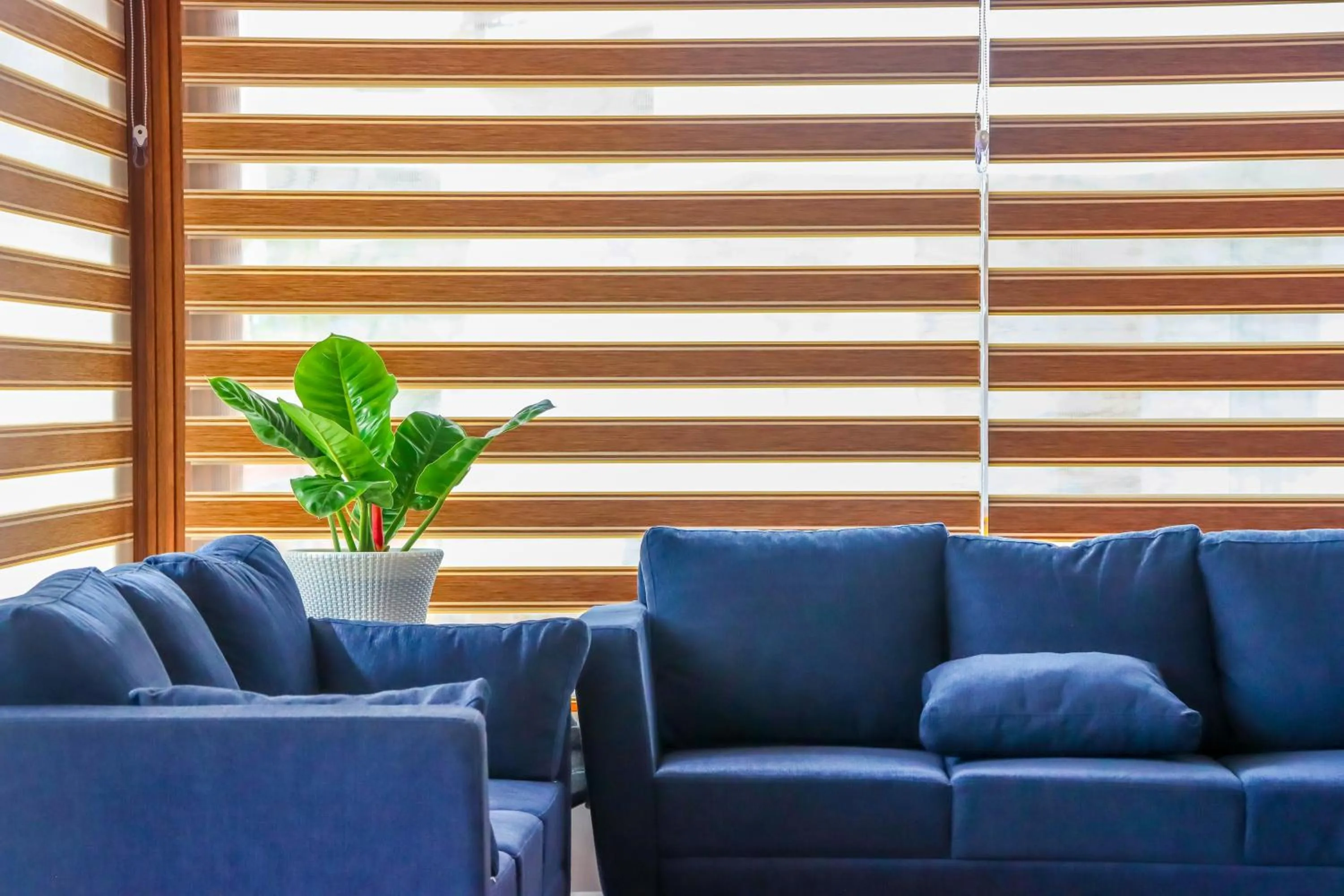 Lobby or reception in Winter Note Resorts