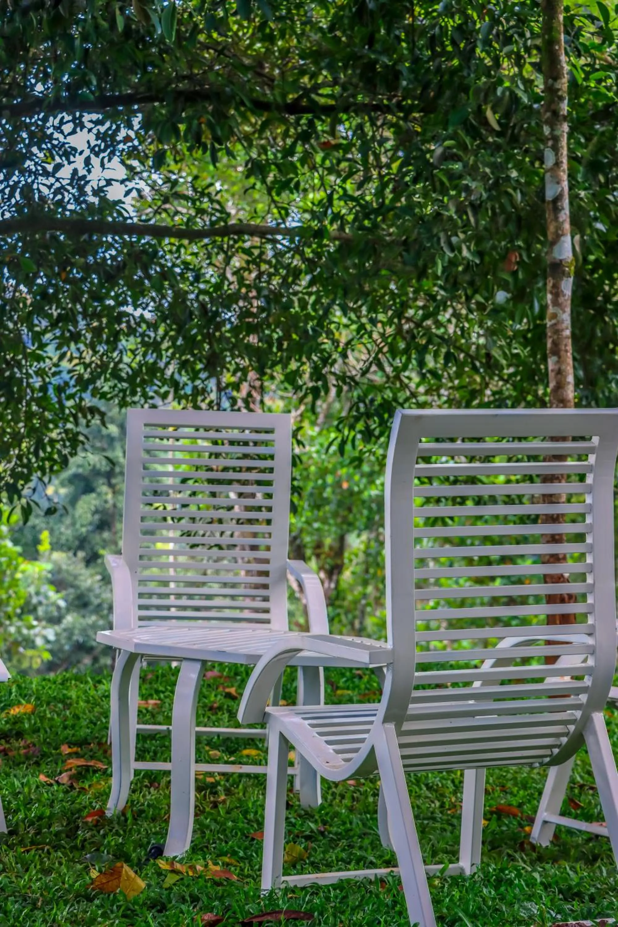 Garden in Winter Note Resorts