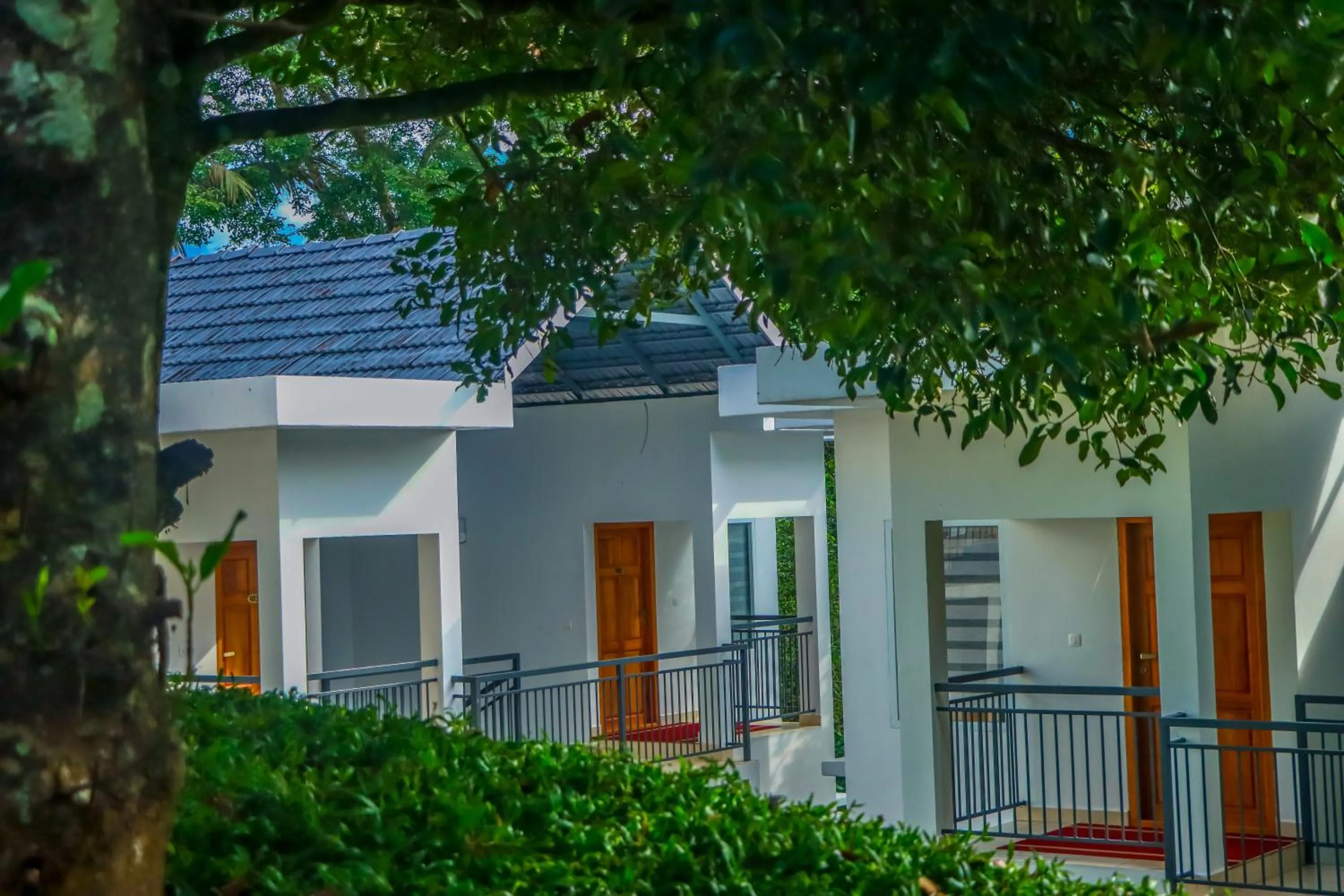 Property building in Winter Note Resorts