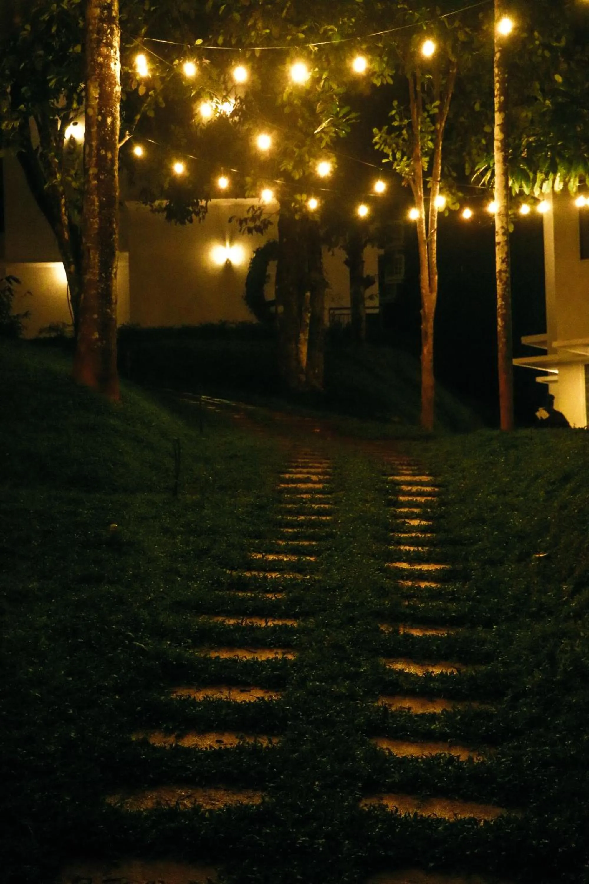 Property building in Winter Note Resorts