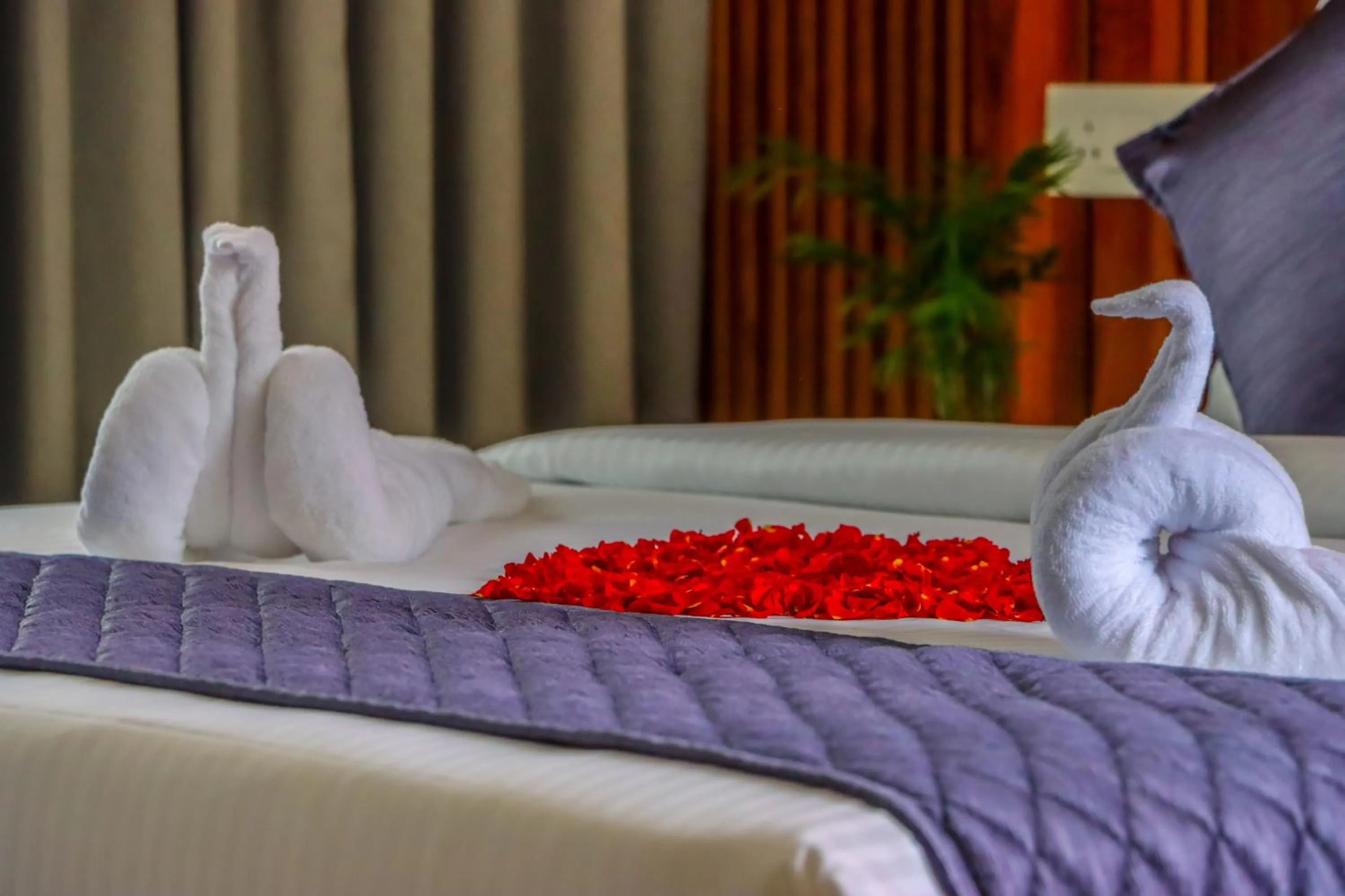 Bed in Winter Note Resorts