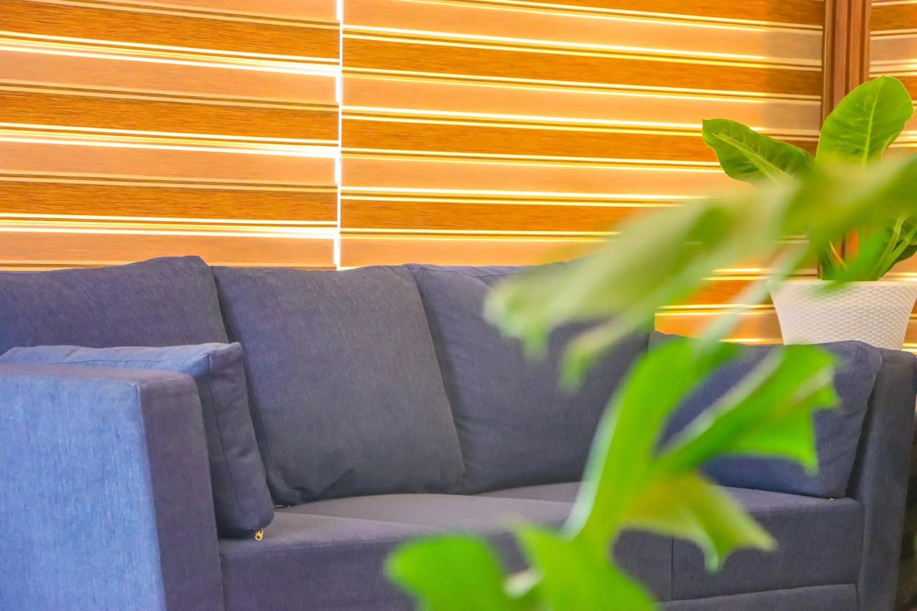 Lobby or reception in Winter Note Resorts