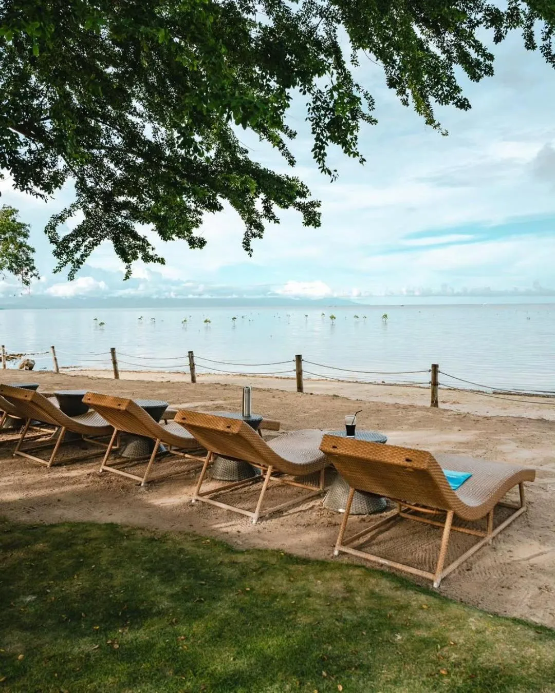 The Funny Lion - Puerto Princesa