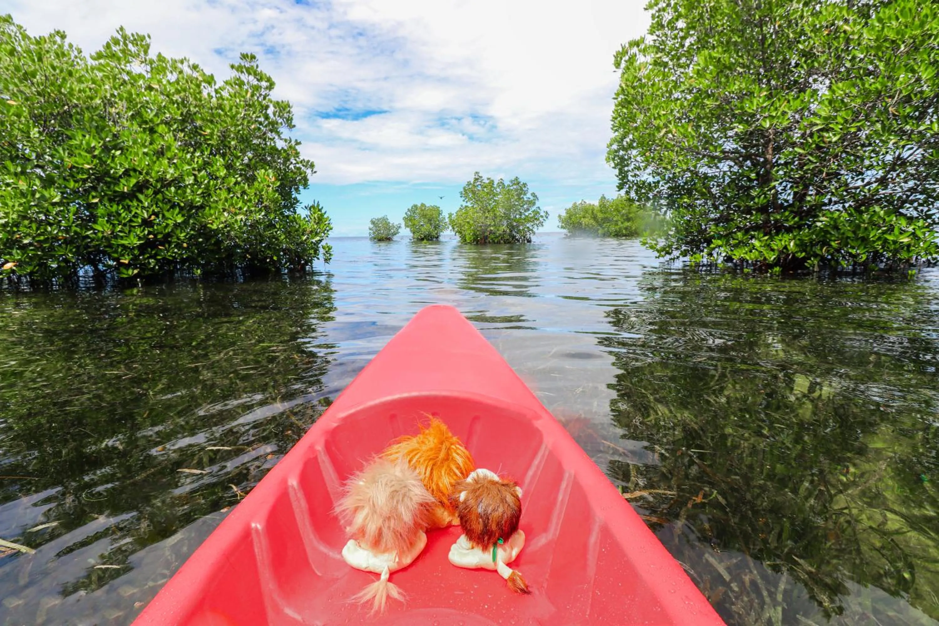 The Funny Lion - Puerto Princesa
