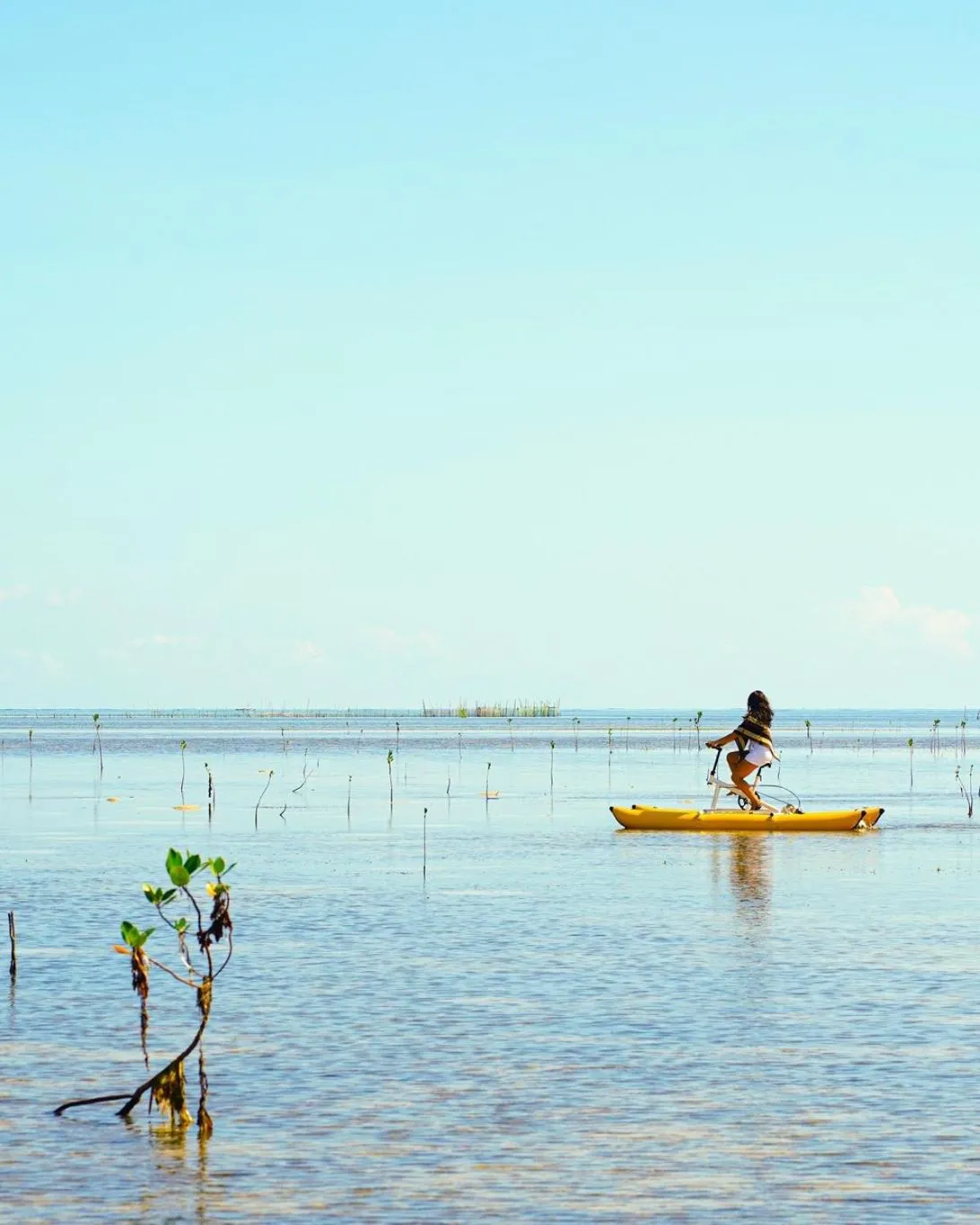 The Funny Lion - Puerto Princesa