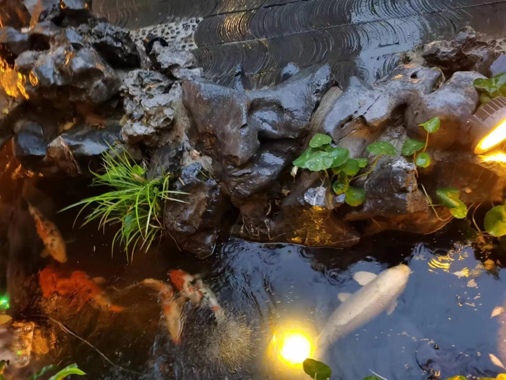 Garden view in The JOY courtyard Beijing near Tiananmen Forbidden City