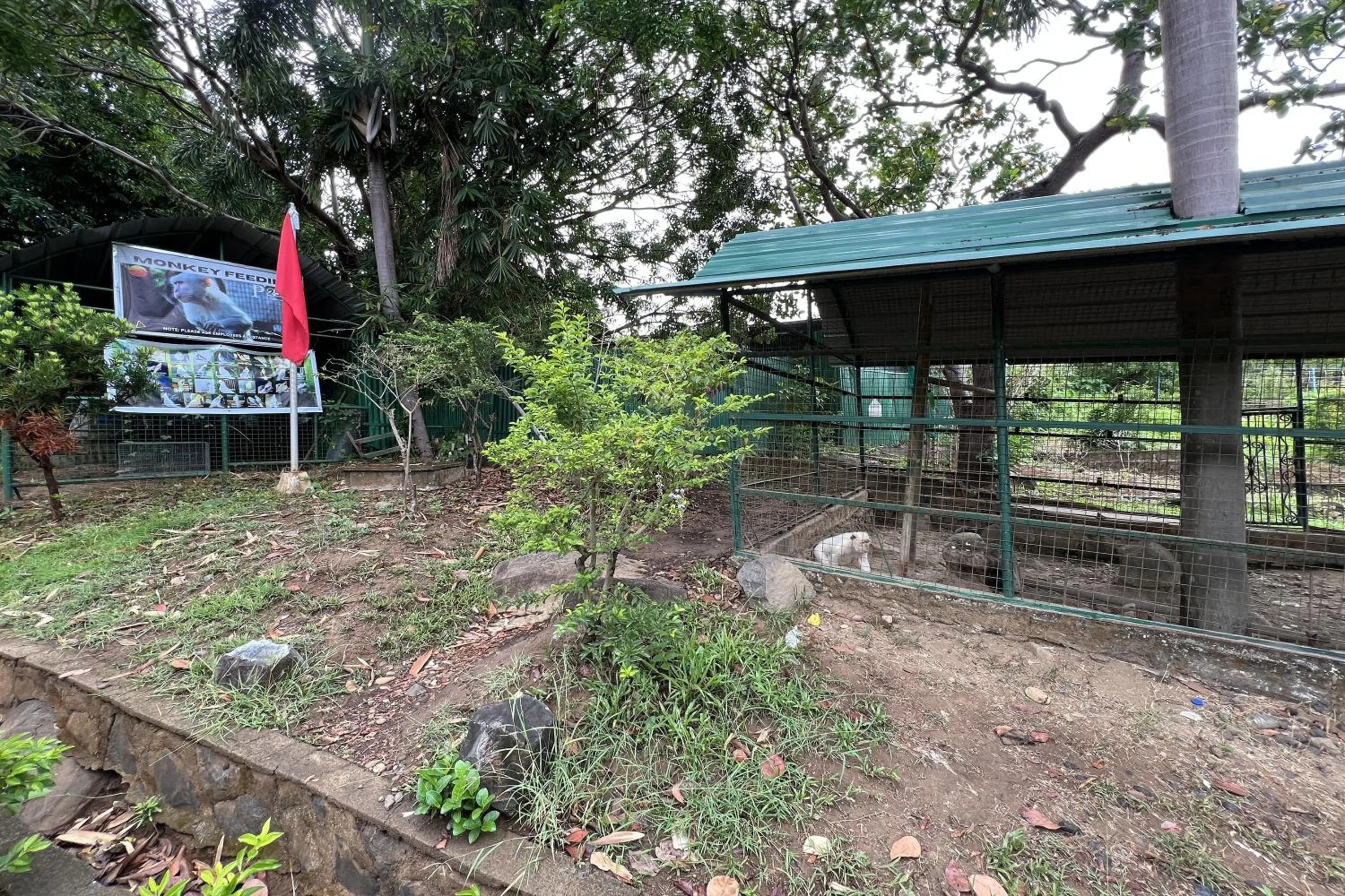 Garden view in Vista Venice Resort