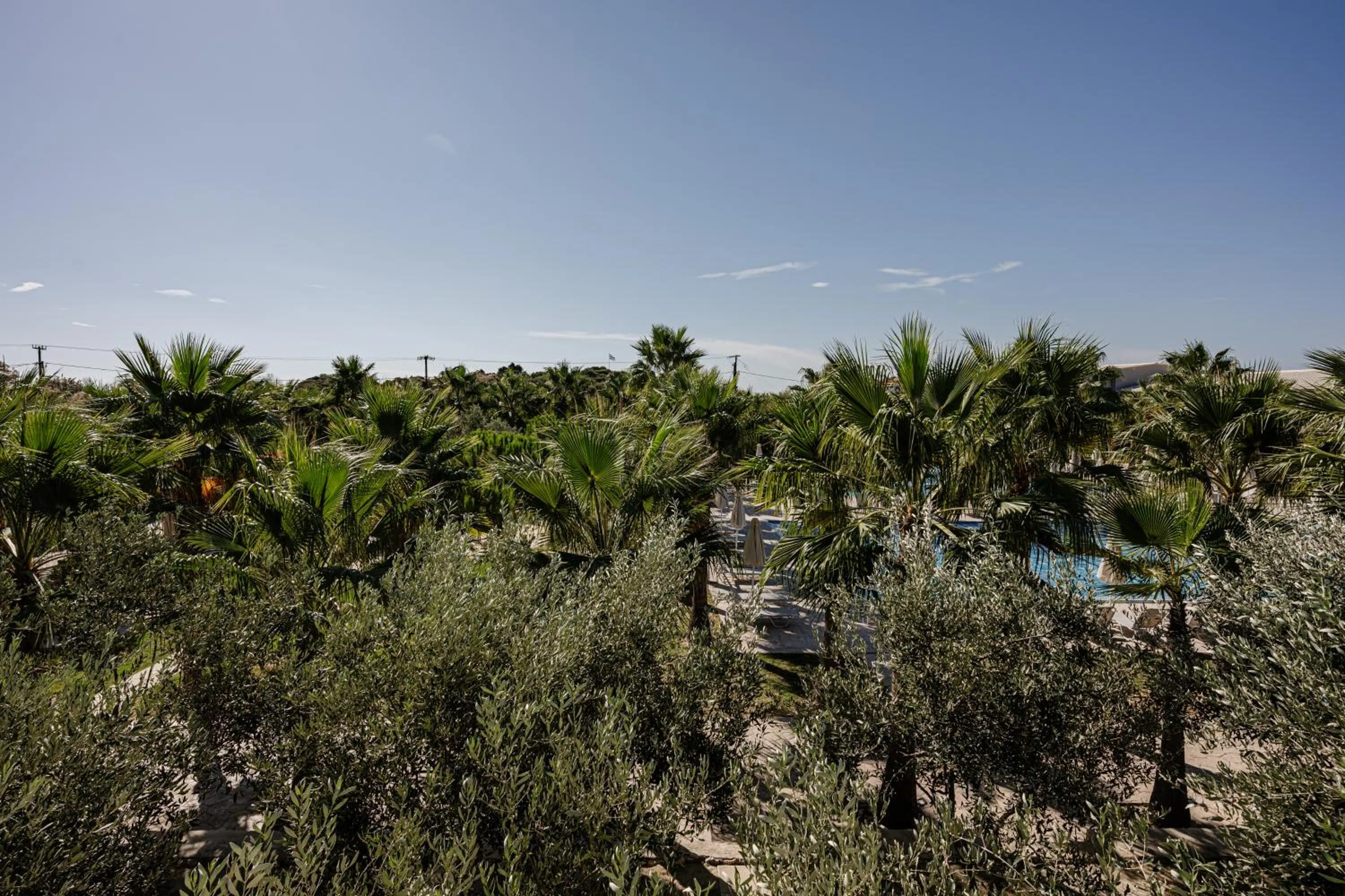 Pool view in Caretta Island