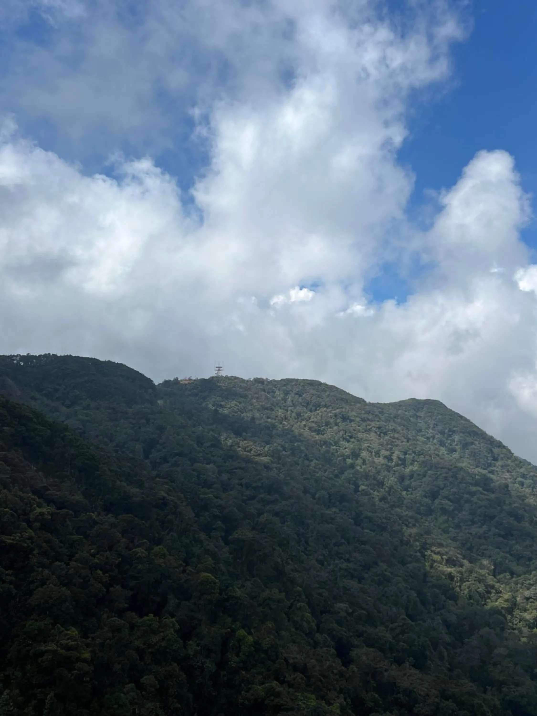 Mountain view in QUINCE HOME GRAND ION DELEMEN GENTING HIGHLANDs