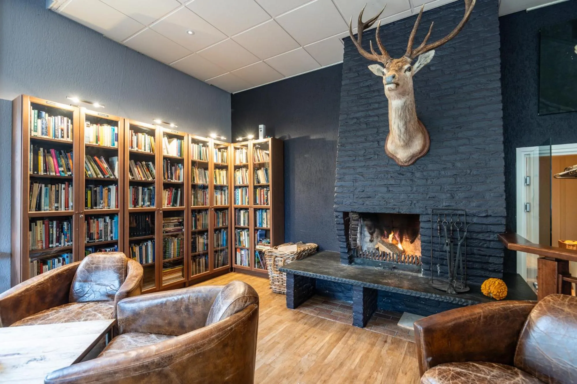 Library in Landgoed Stakenberg - Hotel & Bungalows