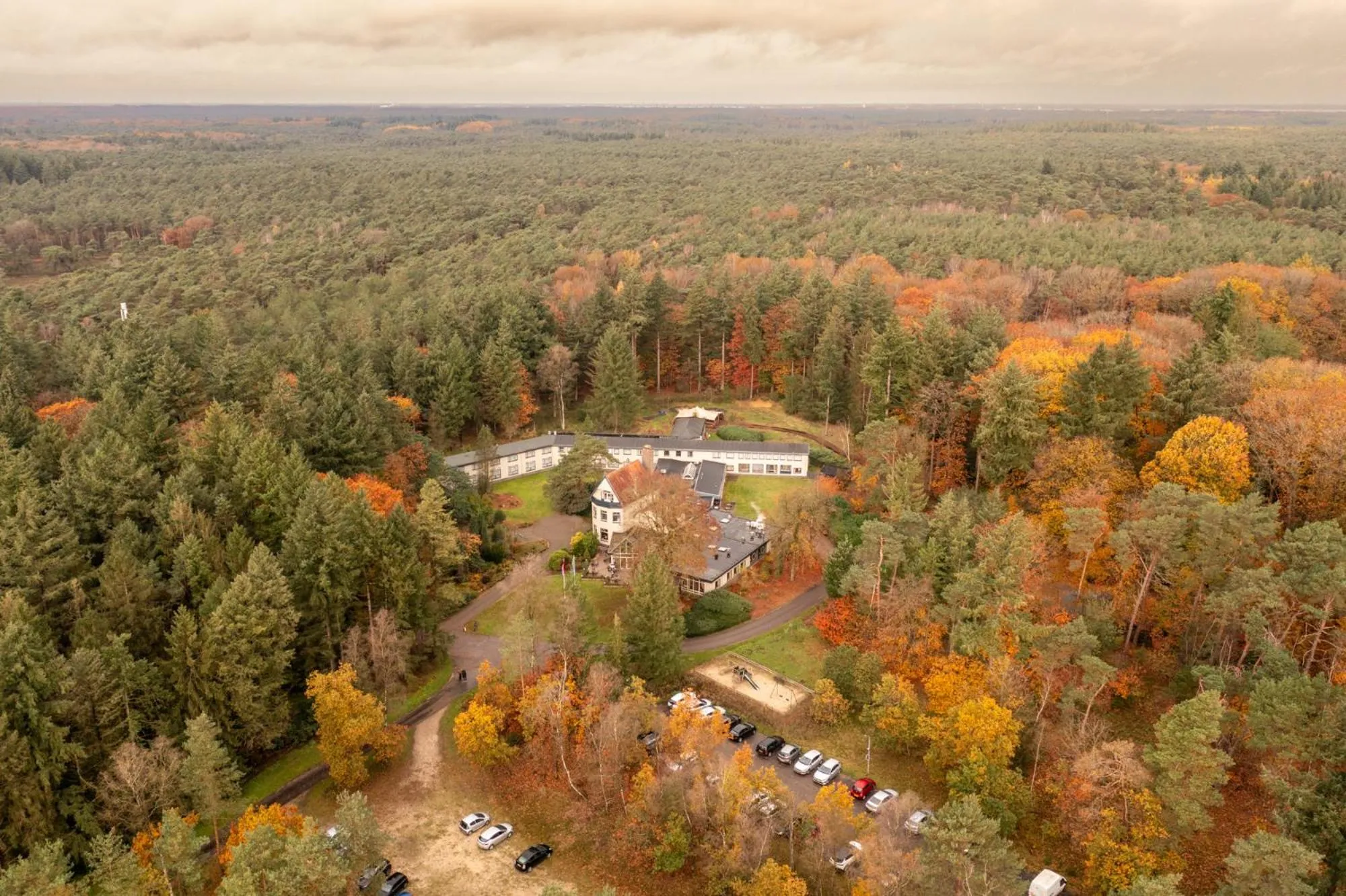 Natural landscape in Landgoed Stakenberg - Hotel & Bungalows