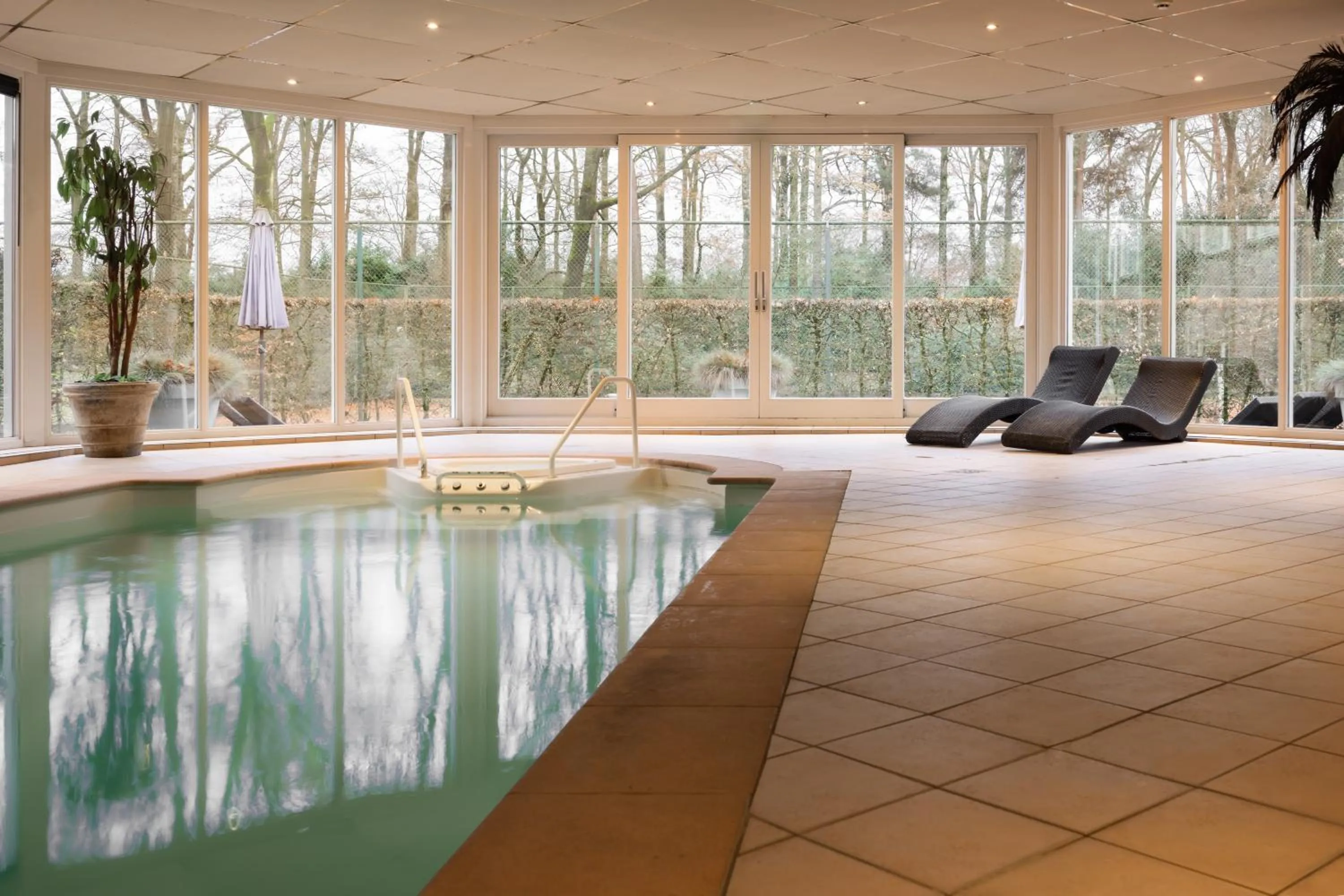 Swimming pool in Landgoed de Rosep