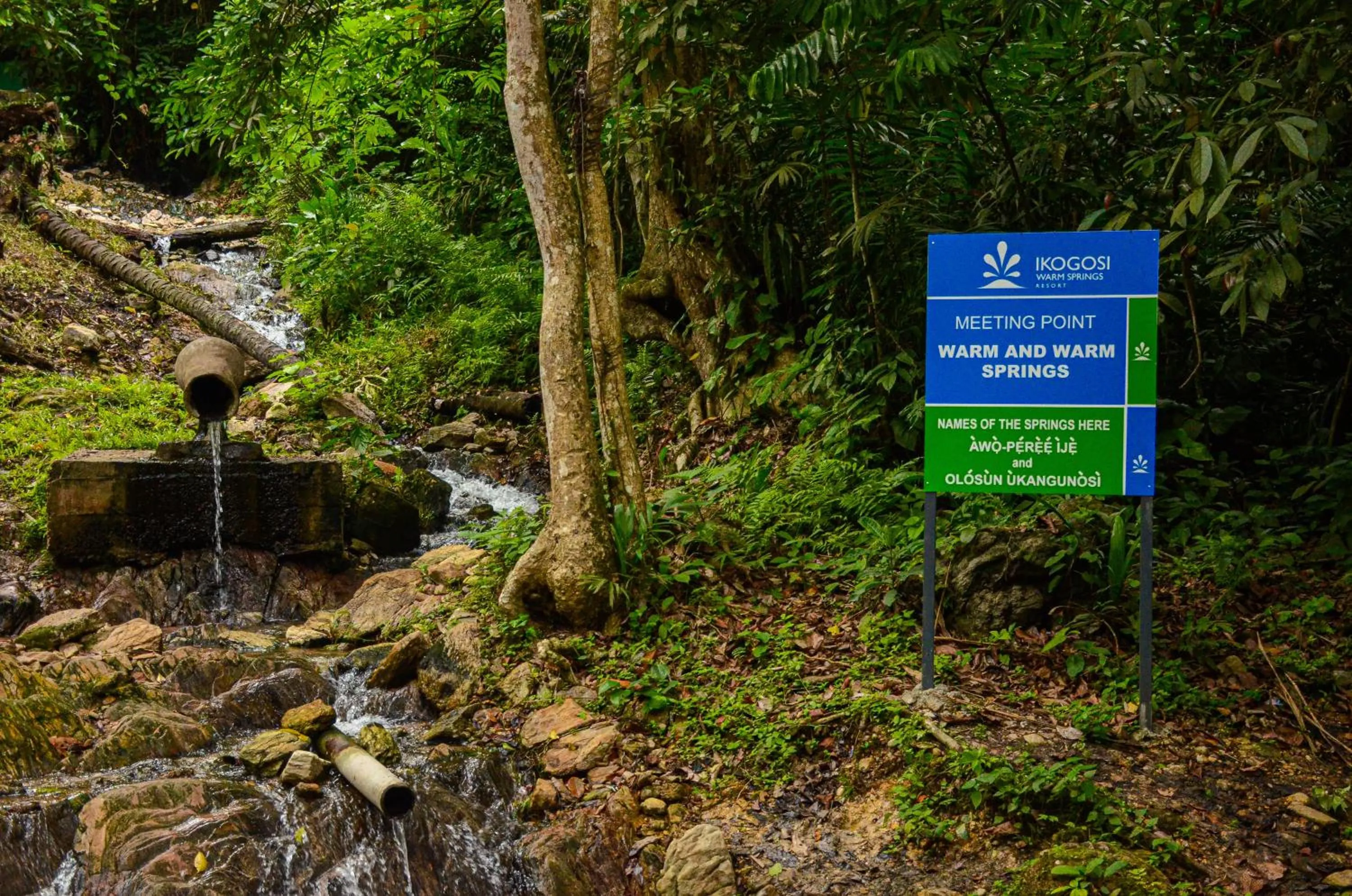 Spring in IKOGOSI WARM SPRINGS RESORT